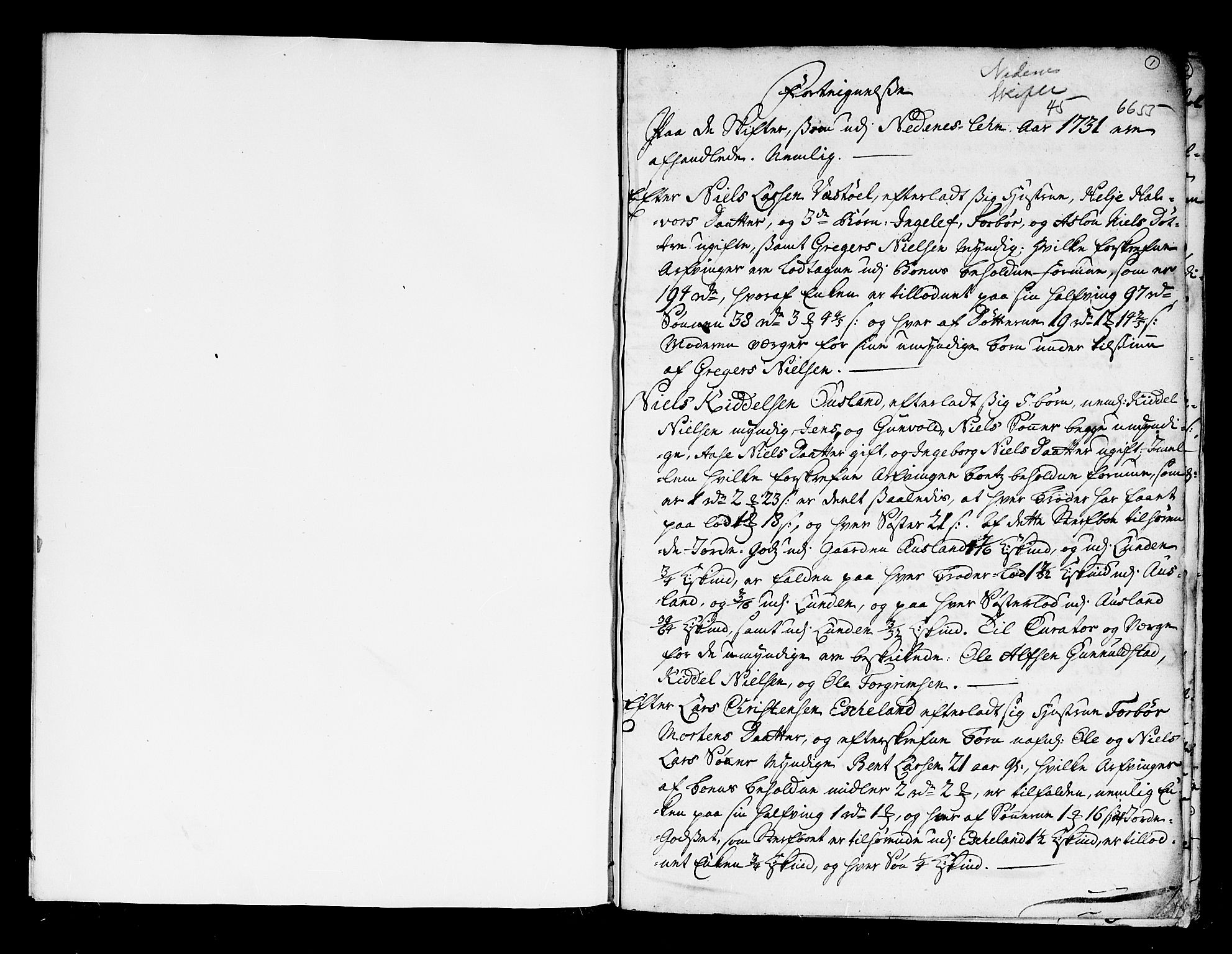 Nedenes sorenskriveri før 1824, SAK/1221-0007/H/Hc/L0061: Skifteprotokoll uten register nr 45, 1731-1737, p. 0b-1a