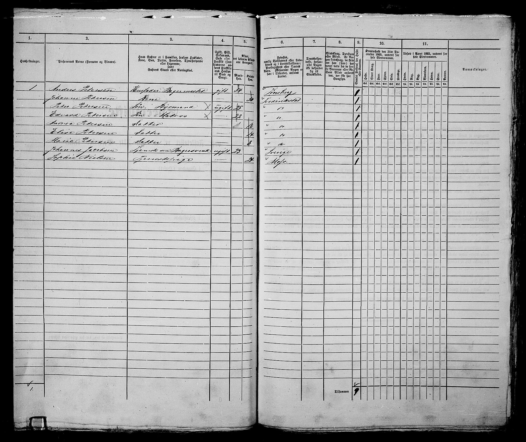 RA, 1865 census for Fredrikstad/Fredrikstad, 1865, p. 217