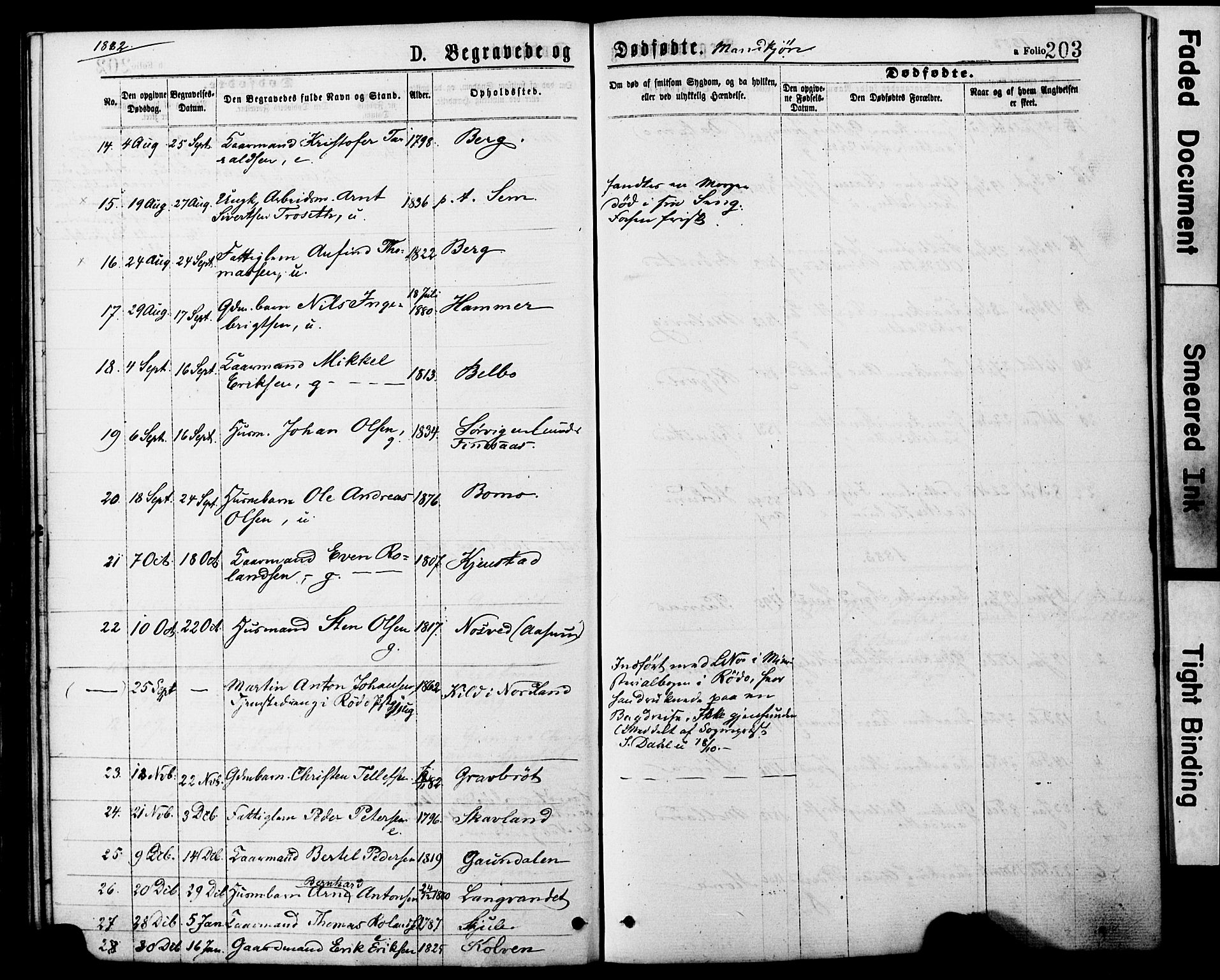 Ministerialprotokoller, klokkerbøker og fødselsregistre - Nord-Trøndelag, SAT/A-1458/749/L0473: Parish register (official) no. 749A07, 1873-1887, p. 203