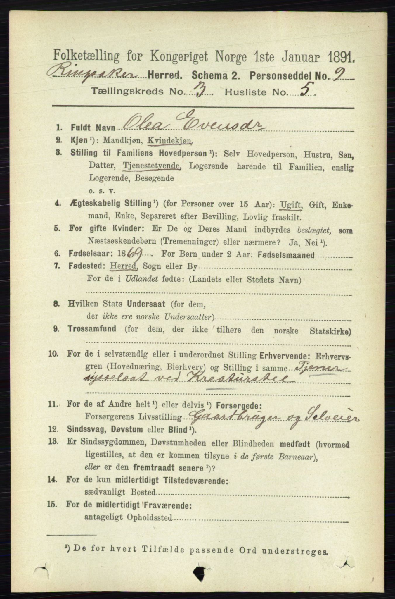RA, 1891 census for 0412 Ringsaker, 1891, p. 1272