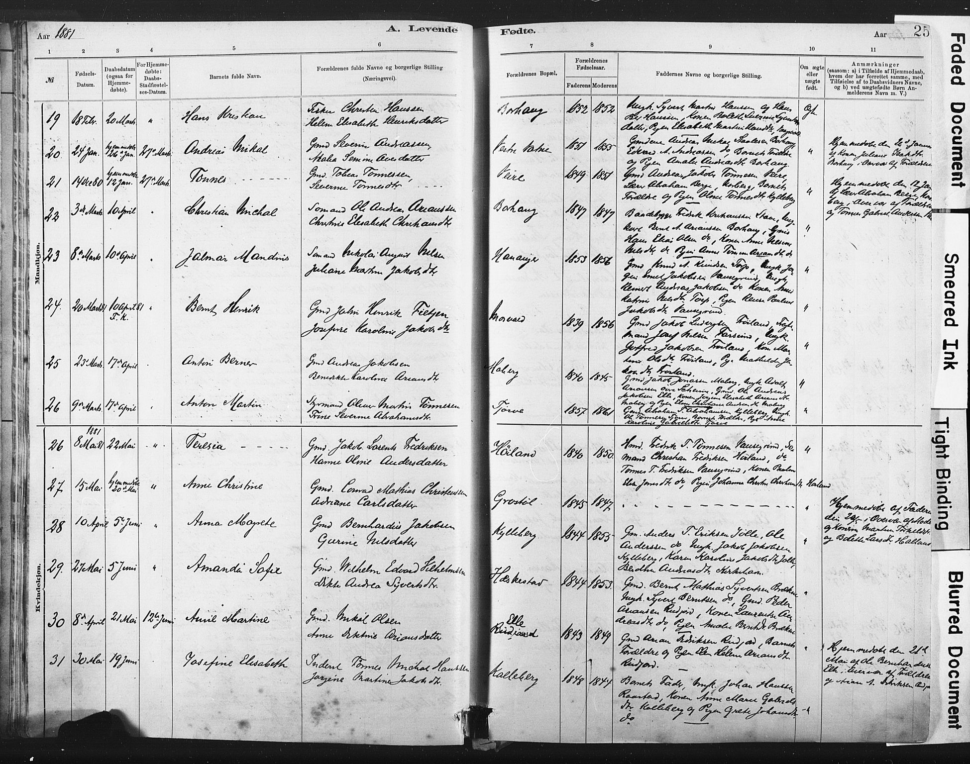 Lista sokneprestkontor, AV/SAK-1111-0027/F/Fa/L0012: Parish register (official) no. A 12, 1879-1903, p. 25