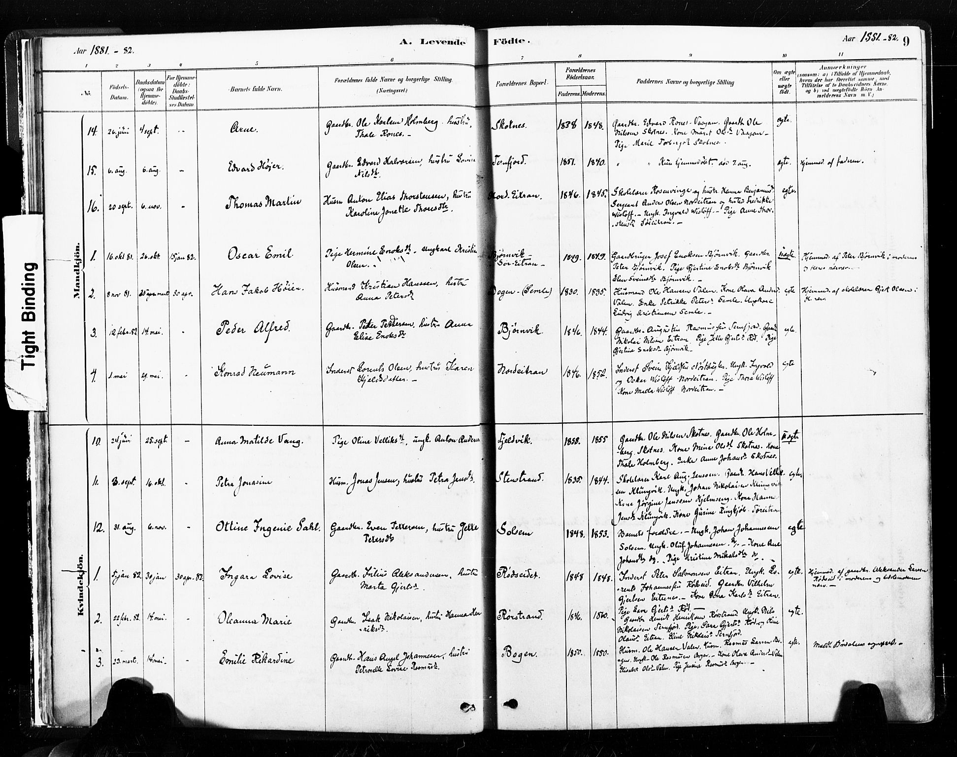 Ministerialprotokoller, klokkerbøker og fødselsregistre - Nord-Trøndelag, SAT/A-1458/789/L0705: Parish register (official) no. 789A01, 1878-1910, p. 9