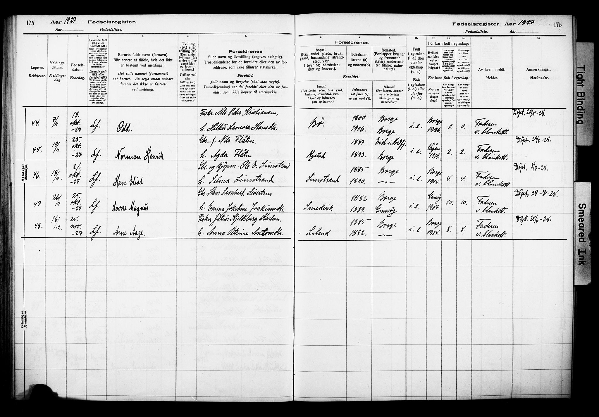 Ministerialprotokoller, klokkerbøker og fødselsregistre - Nordland, AV/SAT-A-1459/880/L1145: Birth register no. 880.II.4.1, 1916-1929, p. 175