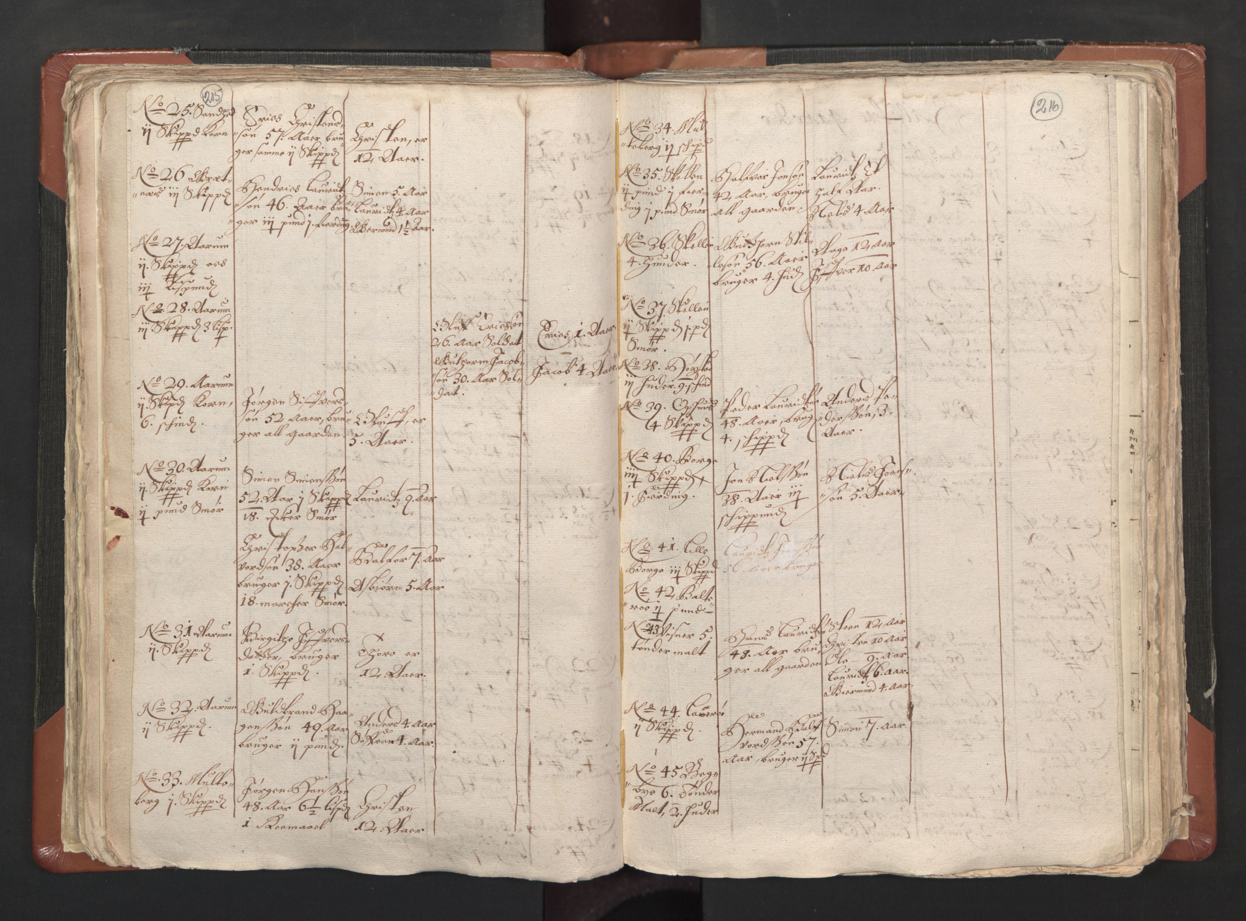 RA, Vicar's Census 1664-1666, no. 1: Nedre Borgesyssel deanery, 1664-1666, p. 215-216