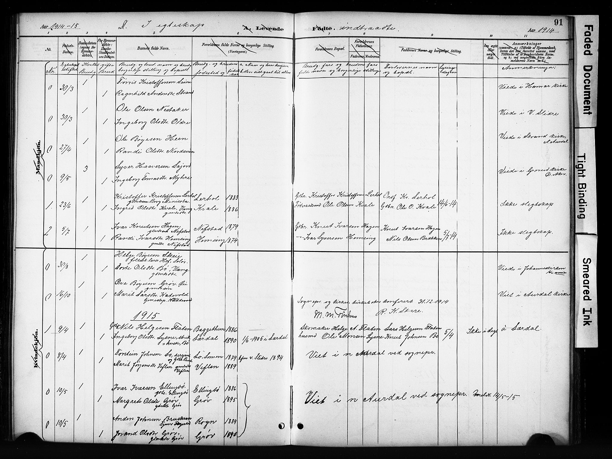 Vang prestekontor, Valdres, SAH/PREST-140/H/Hb/L0006: Parish register (copy) no. 6, 1893-1918, p. 91