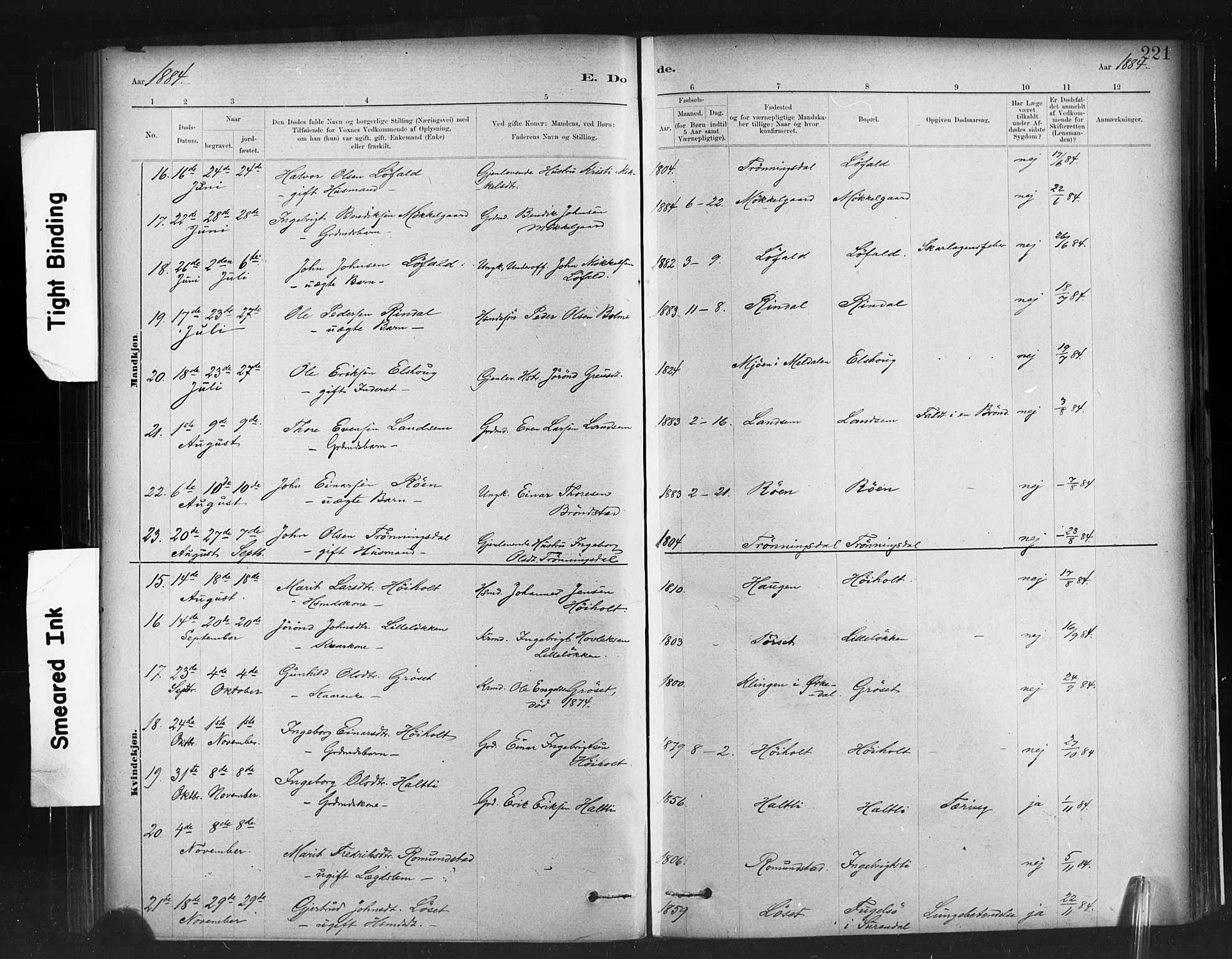 Ministerialprotokoller, klokkerbøker og fødselsregistre - Møre og Romsdal, AV/SAT-A-1454/598/L1069: Parish register (official) no. 598A03, 1882-1895, p. 221