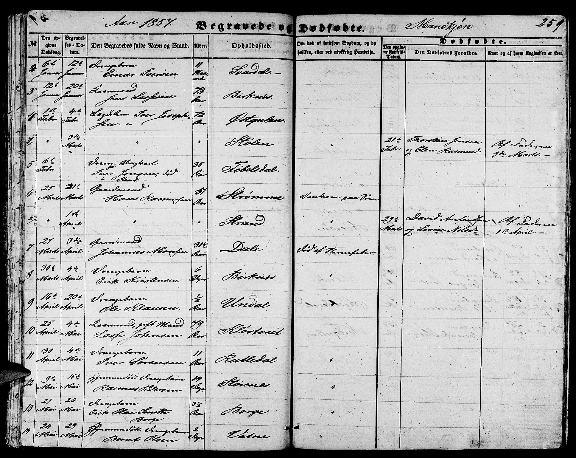 Gulen sokneprestembete, AV/SAB-A-80201/H/Hab/Habb/L0001: Parish register (copy) no. B 1, 1854-1866, p. 259