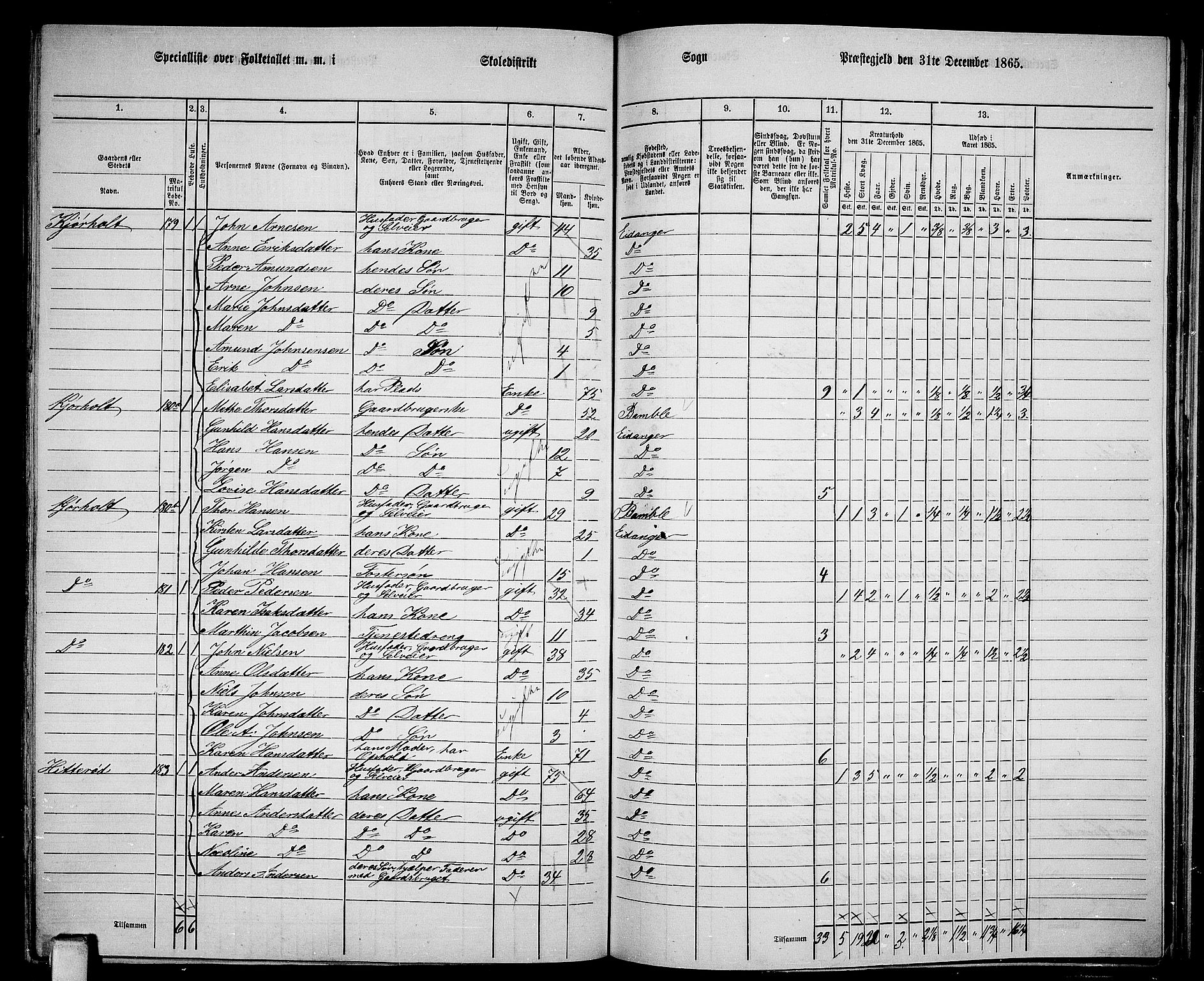 RA, 1865 census for Eidanger, 1865, p. 87