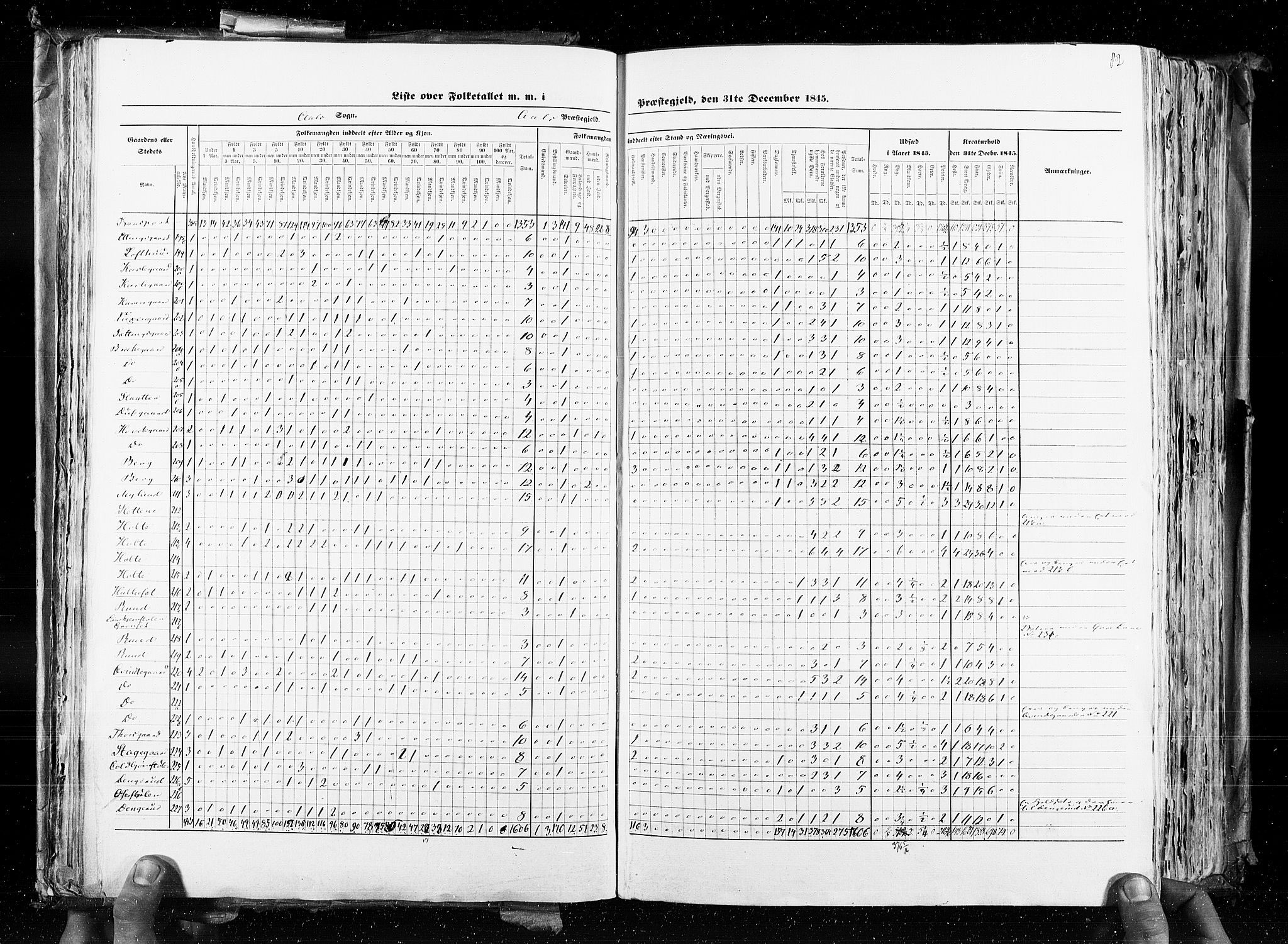 RA, Census 1845, vol. 4: Buskerud amt og Jarlsberg og Larvik amt, 1845, p. 82