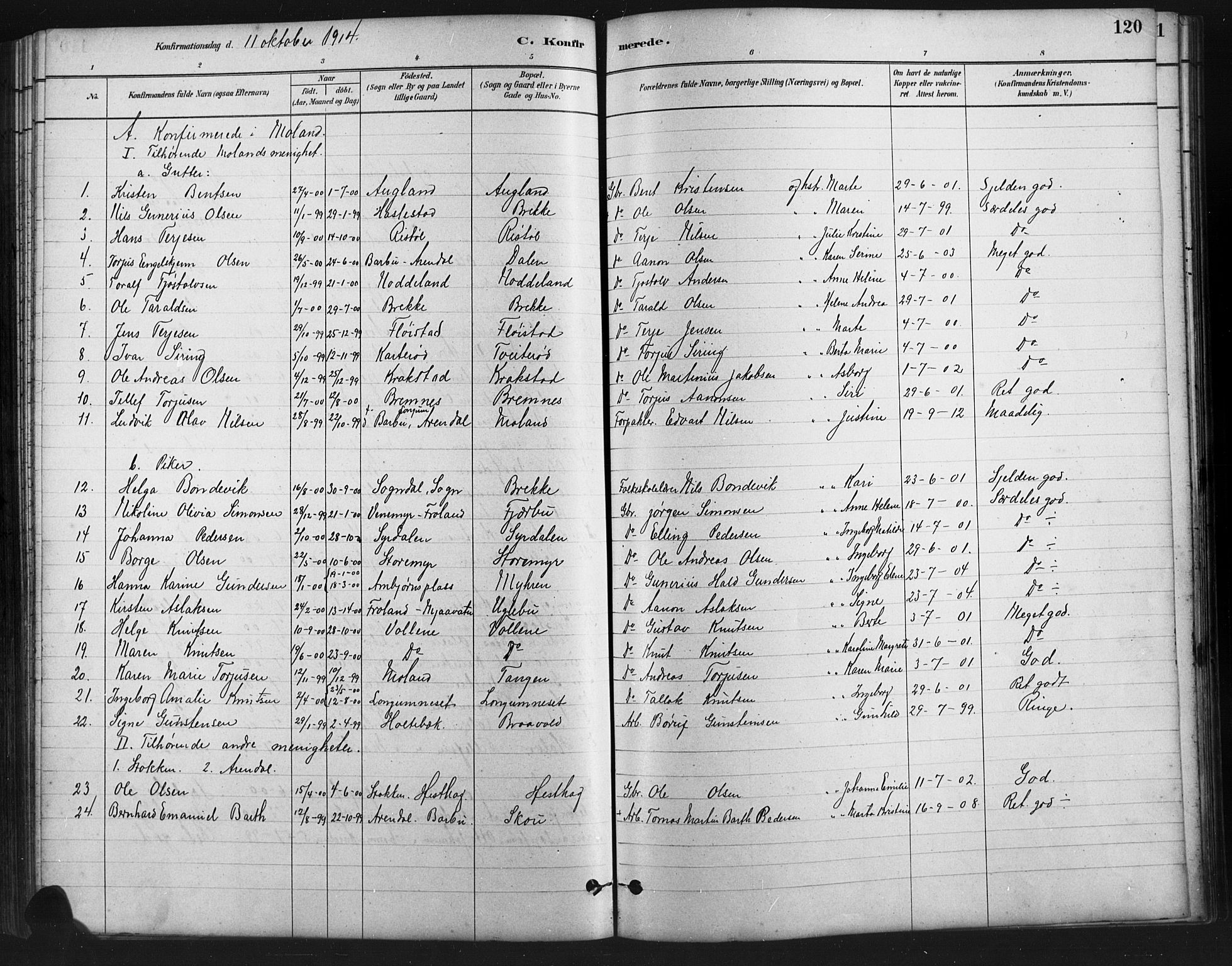 Austre Moland sokneprestkontor, AV/SAK-1111-0001/F/Fb/Fba/L0003: Parish register (copy) no. B 3, 1879-1914, p. 120