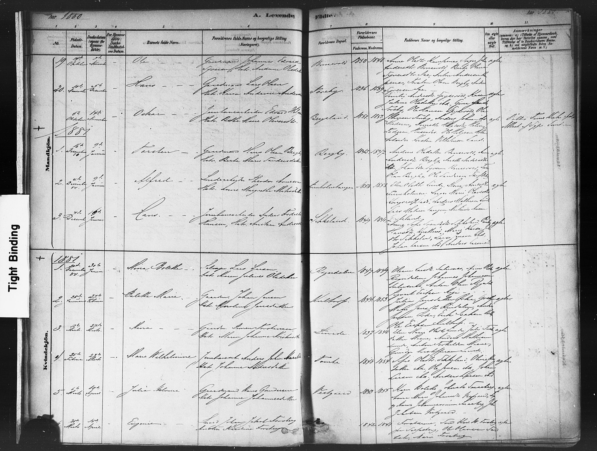 Varteig prestekontor Kirkebøker, SAO/A-10447a/F/Fa/L0002: Parish register (official) no. 2, 1878-1899, p. 15