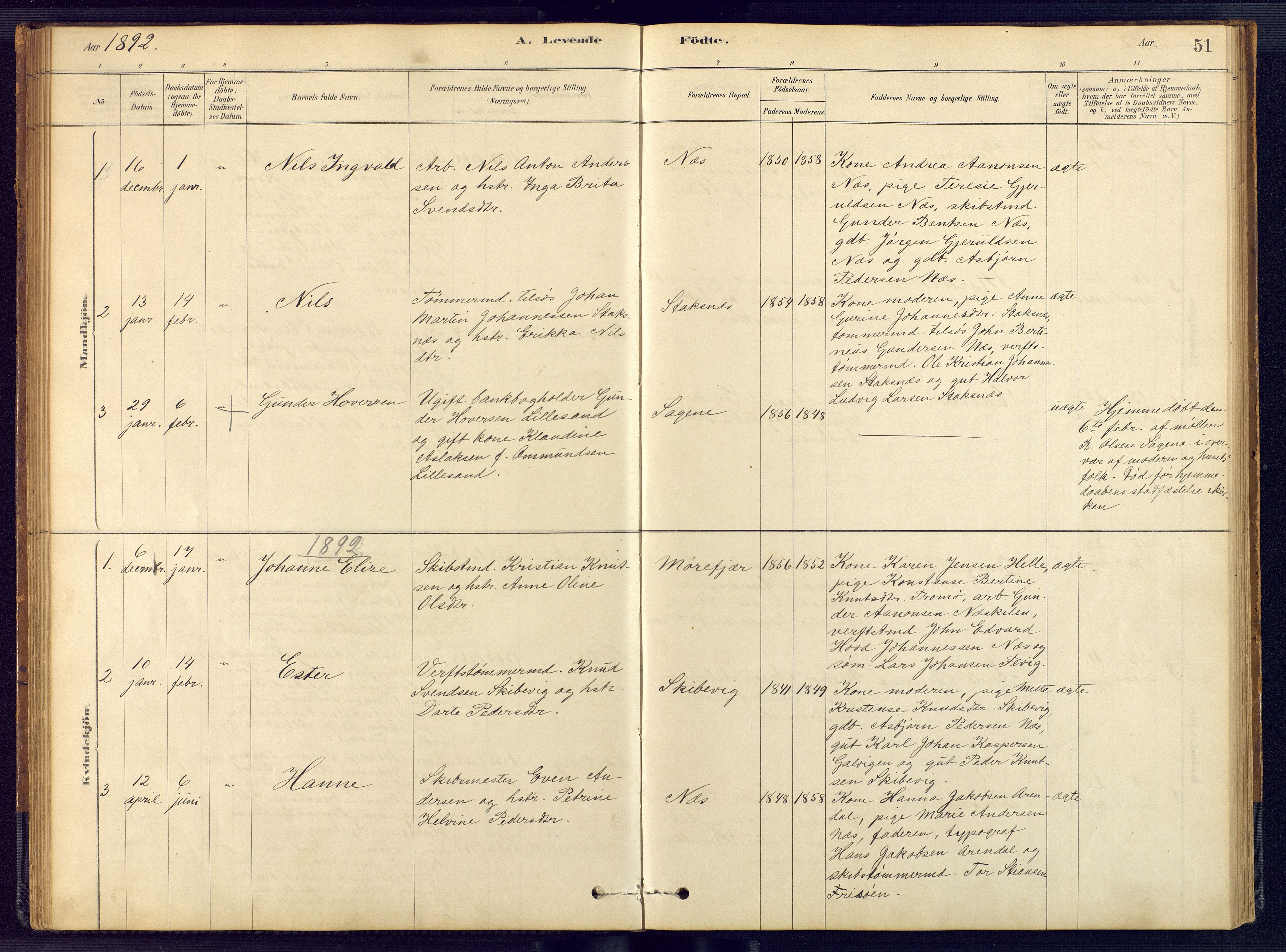 Austre Moland sokneprestkontor, AV/SAK-1111-0001/F/Fb/Fbb/L0001: Parish register (copy) no. B 1, 1878-1904, p. 51