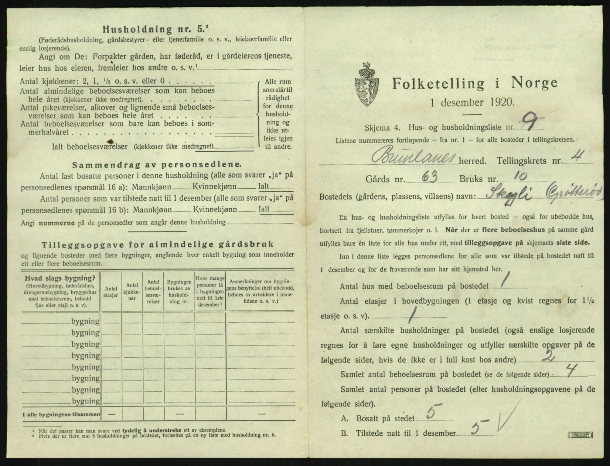 SAKO, 1920 census for Brunlanes, 1920, p. 737