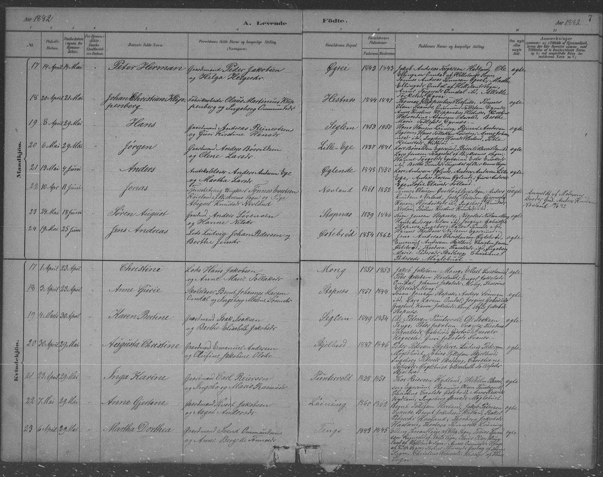 Eigersund sokneprestkontor, AV/SAST-A-101807/S09/L0007: Parish register (copy) no. B 7, 1882-1892, p. 8