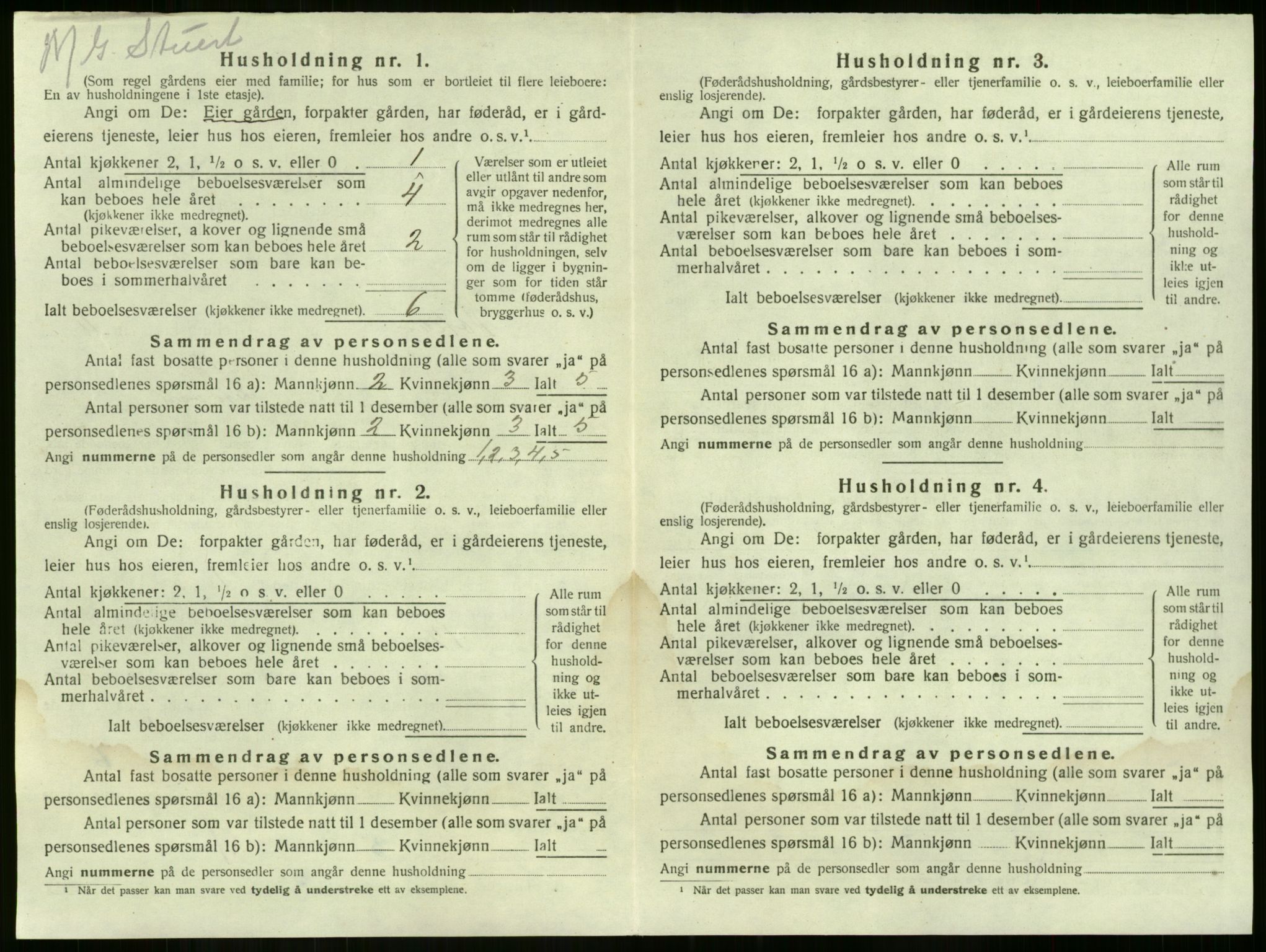 SAKO, 1920 census for Nøtterøy, 1920, p. 2219