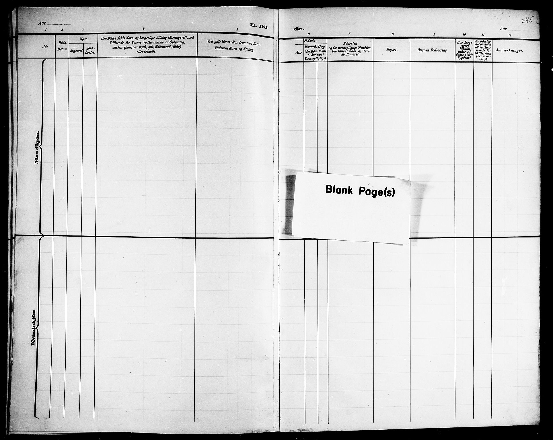 Ministerialprotokoller, klokkerbøker og fødselsregistre - Nordland, AV/SAT-A-1459/863/L0915: Parish register (copy) no. 863C05, 1898-1907, p. 245