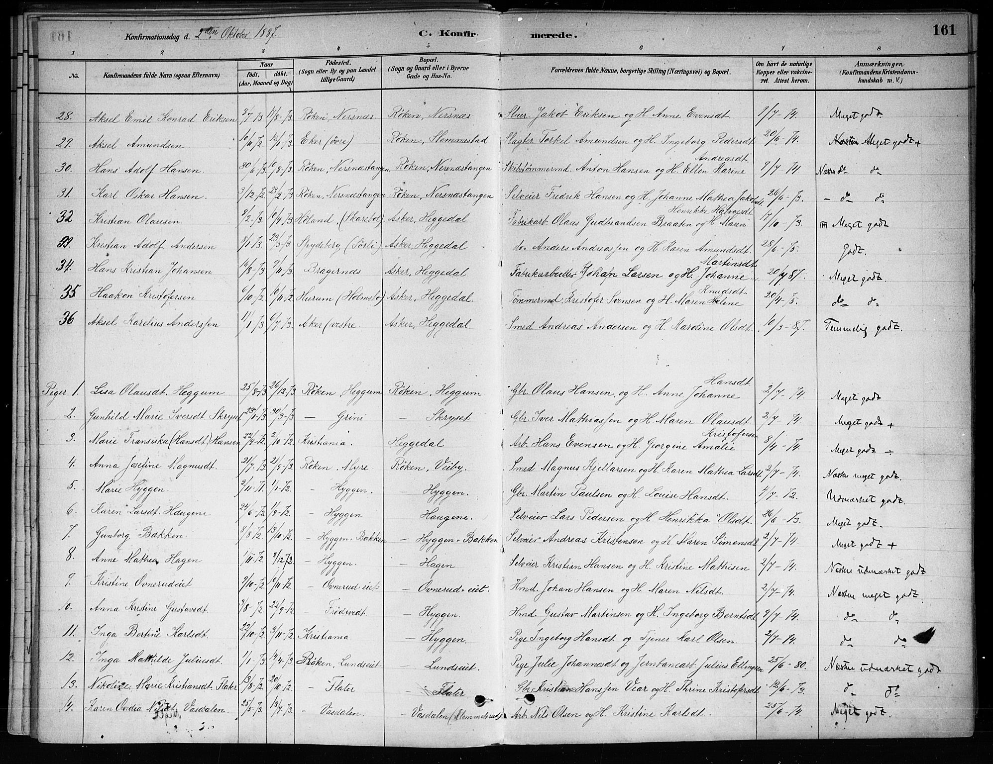 Røyken kirkebøker, SAKO/A-241/F/Fa/L0008: Parish register (official) no. 8, 1880-1897, p. 161