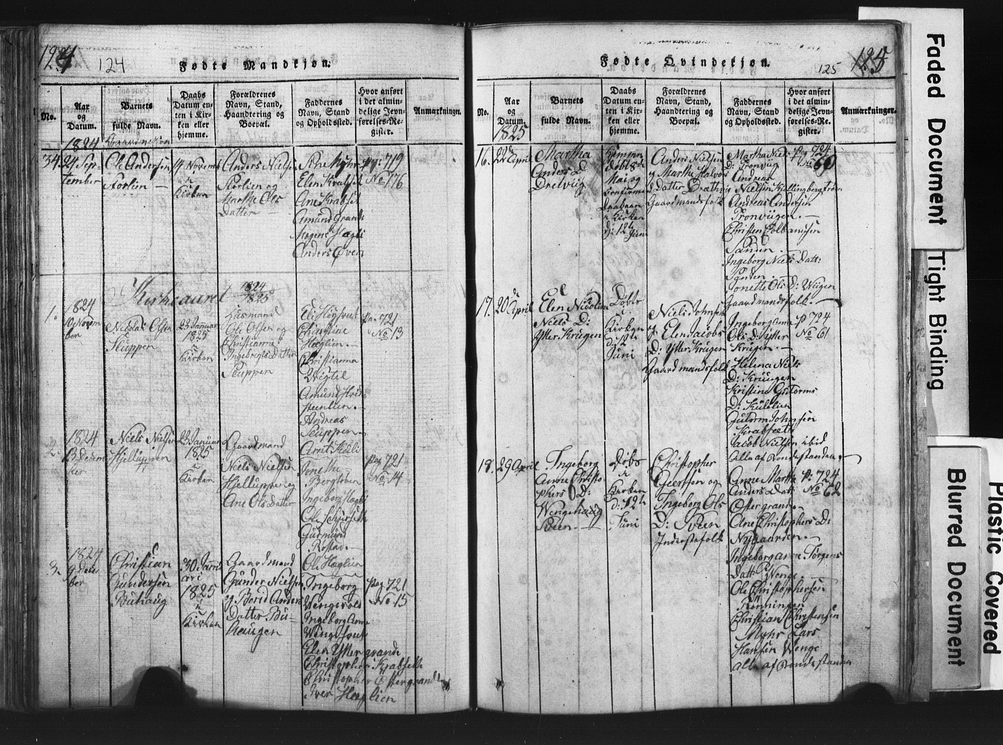 Ministerialprotokoller, klokkerbøker og fødselsregistre - Nord-Trøndelag, AV/SAT-A-1458/701/L0017: Parish register (copy) no. 701C01, 1817-1825, p. 124-125