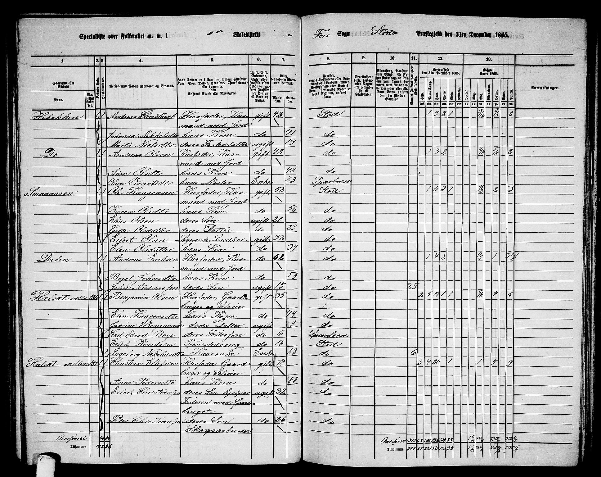 RA, 1865 census for Stod, 1865, p. 99