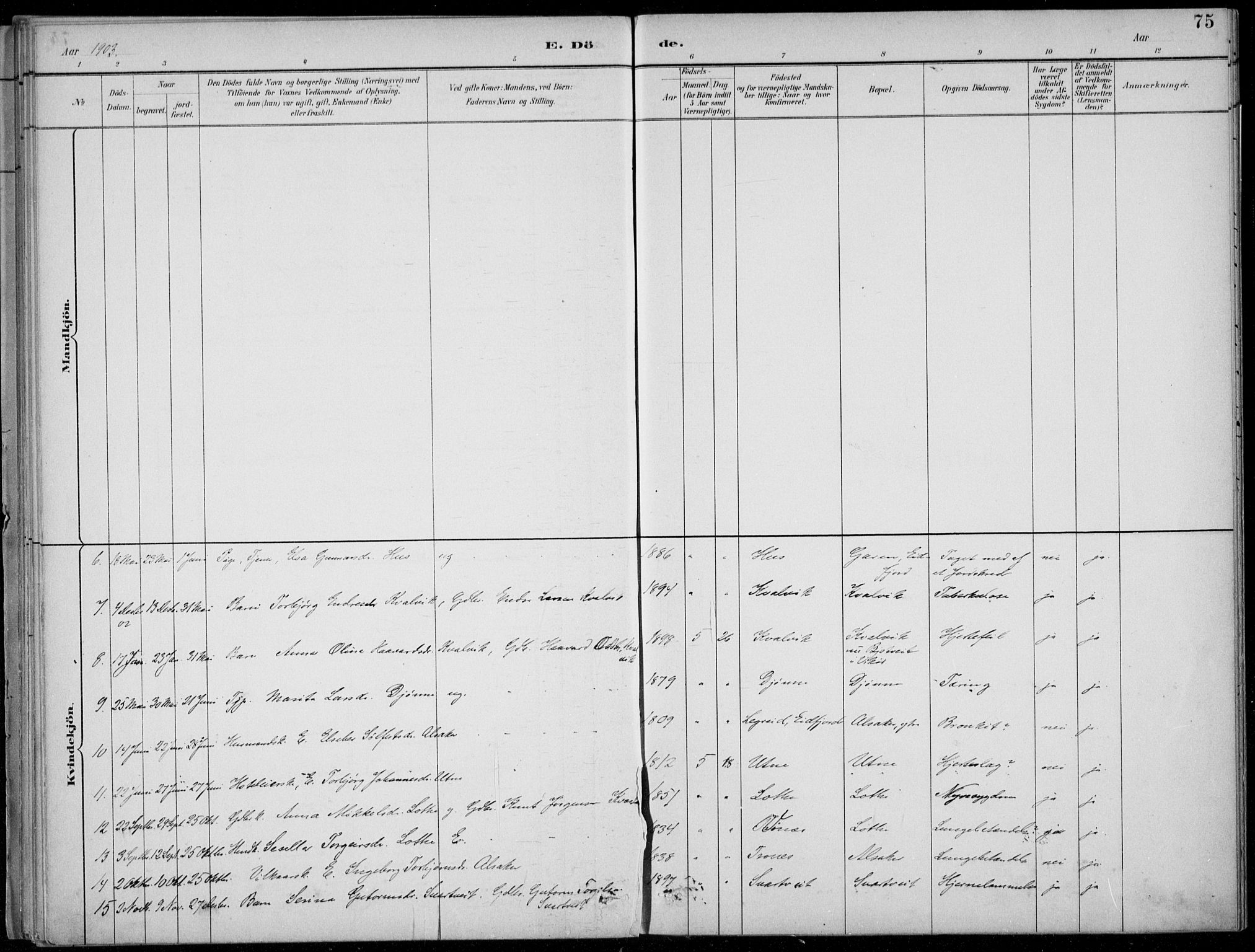 Ullensvang sokneprestembete, AV/SAB-A-78701/H/Haa: Parish register (official) no. E  3, 1883-1916, p. 75