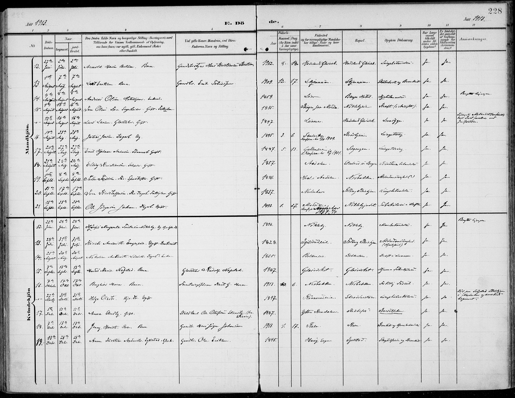 Jevnaker prestekontor, SAH/PREST-116/H/Ha/Haa/L0011: Parish register (official) no. 11, 1902-1913, p. 228