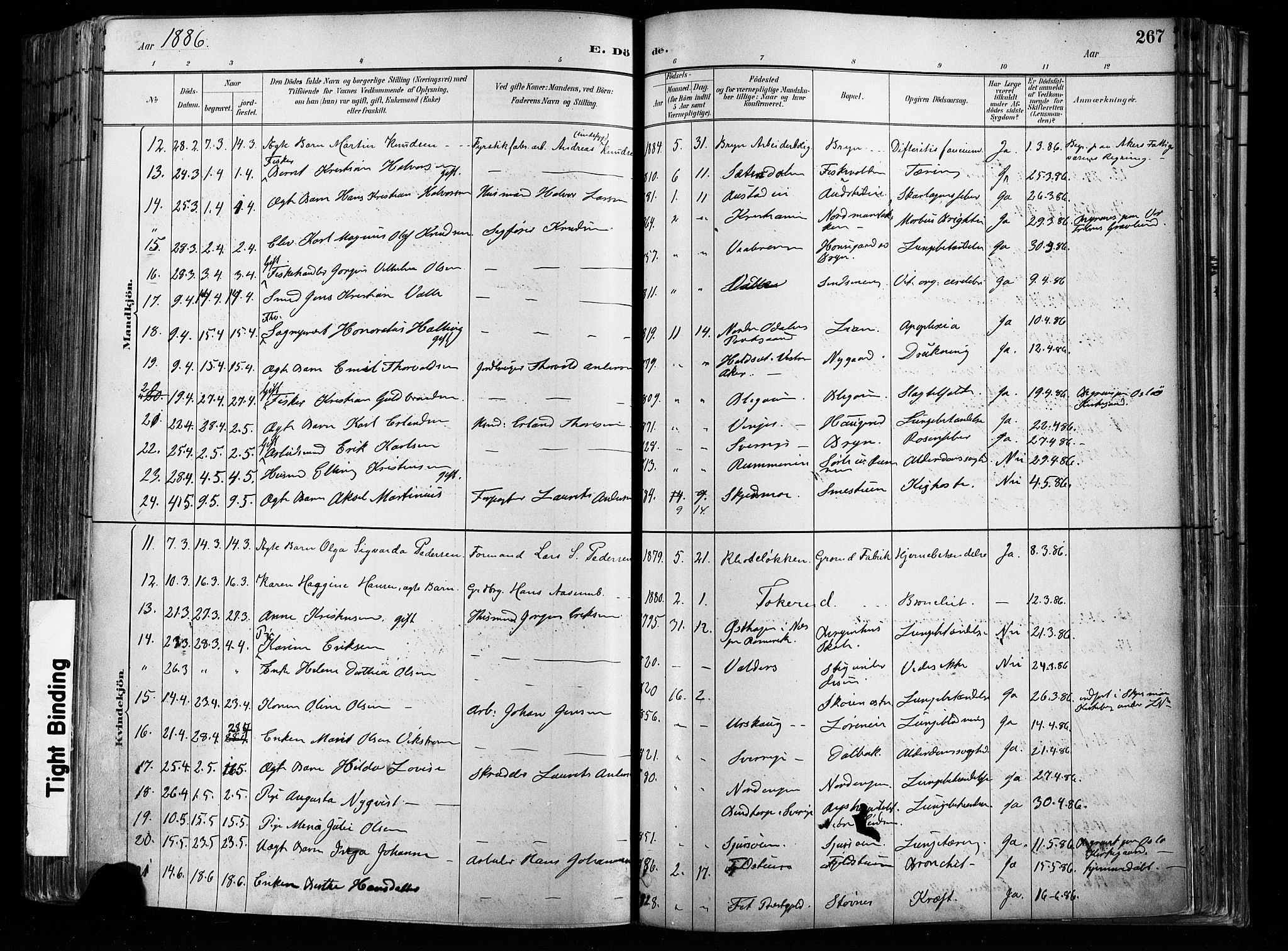 Østre Aker prestekontor Kirkebøker, SAO/A-10840/F/Fa/L0008: Parish register (official) no. I 8, 1883-1894, p. 267
