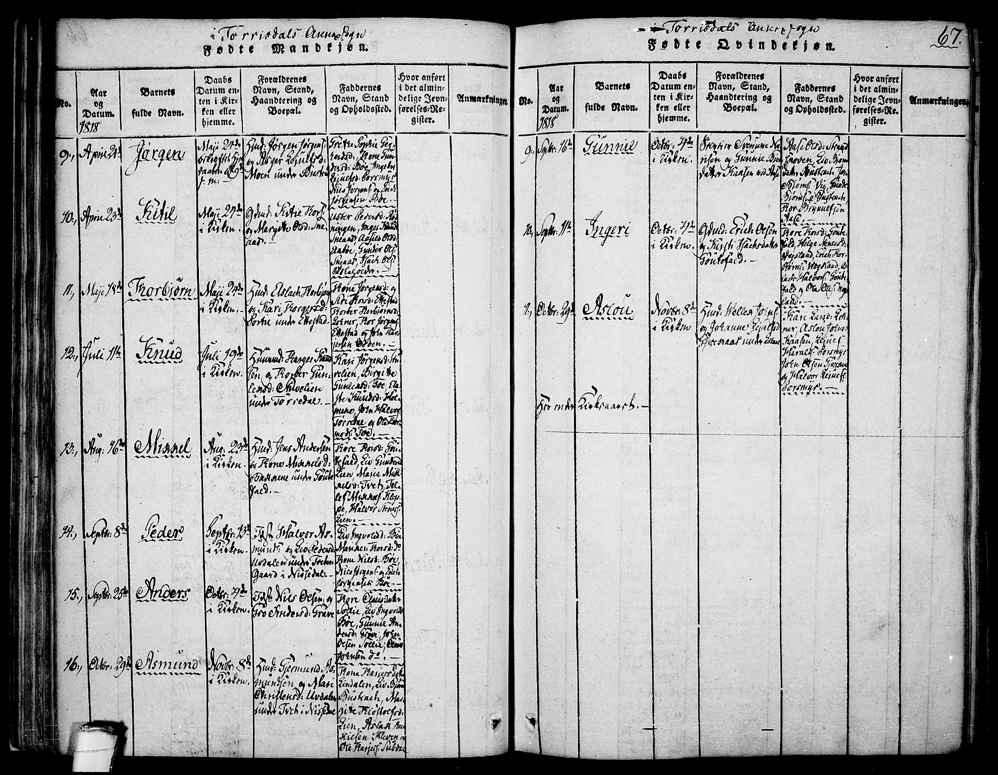 Drangedal kirkebøker, SAKO/A-258/F/Fa/L0005: Parish register (official) no. 5 /2, 1814-1831, p. 67