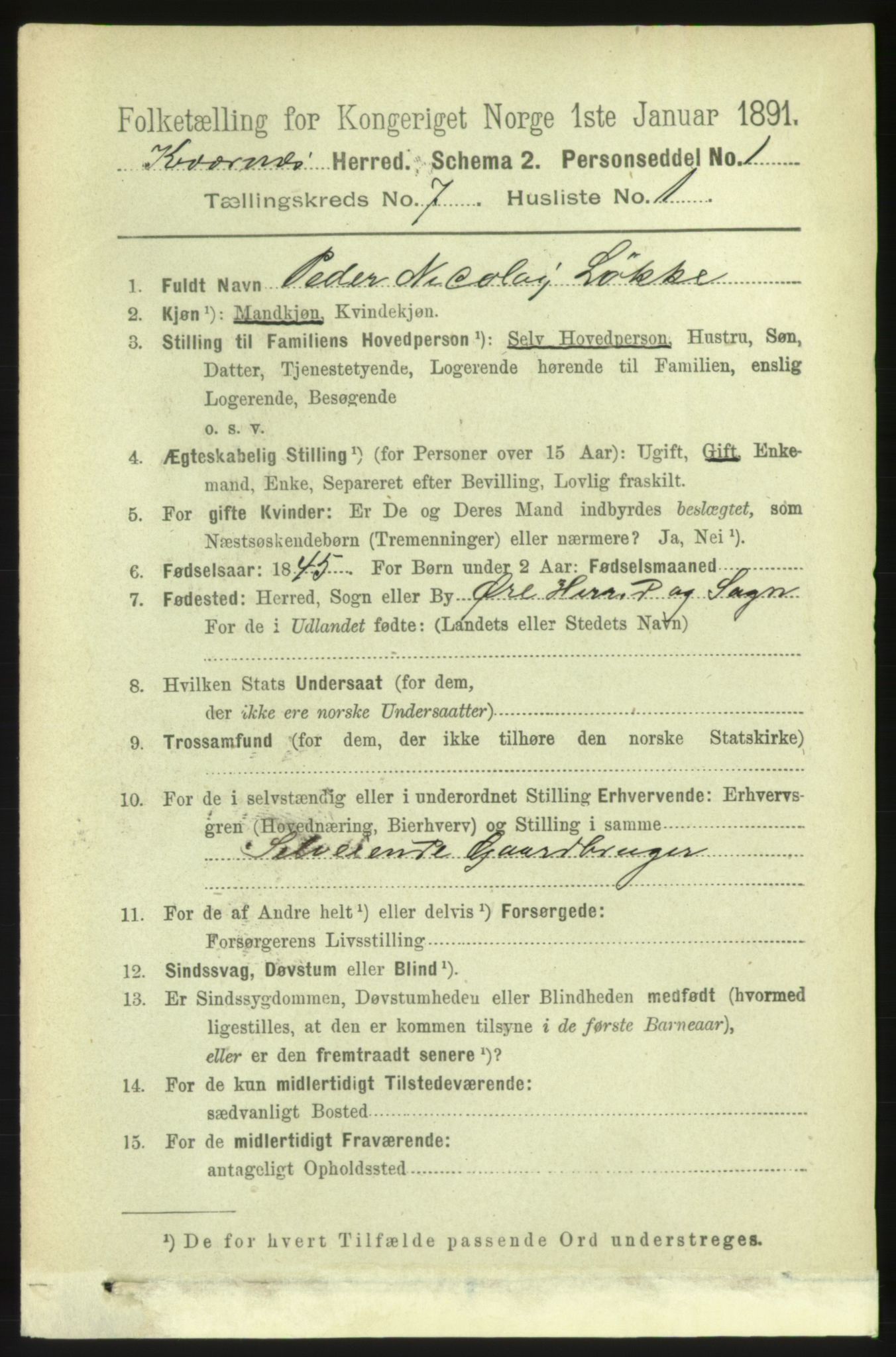 RA, 1891 census for 1553 Kvernes, 1891, p. 3252