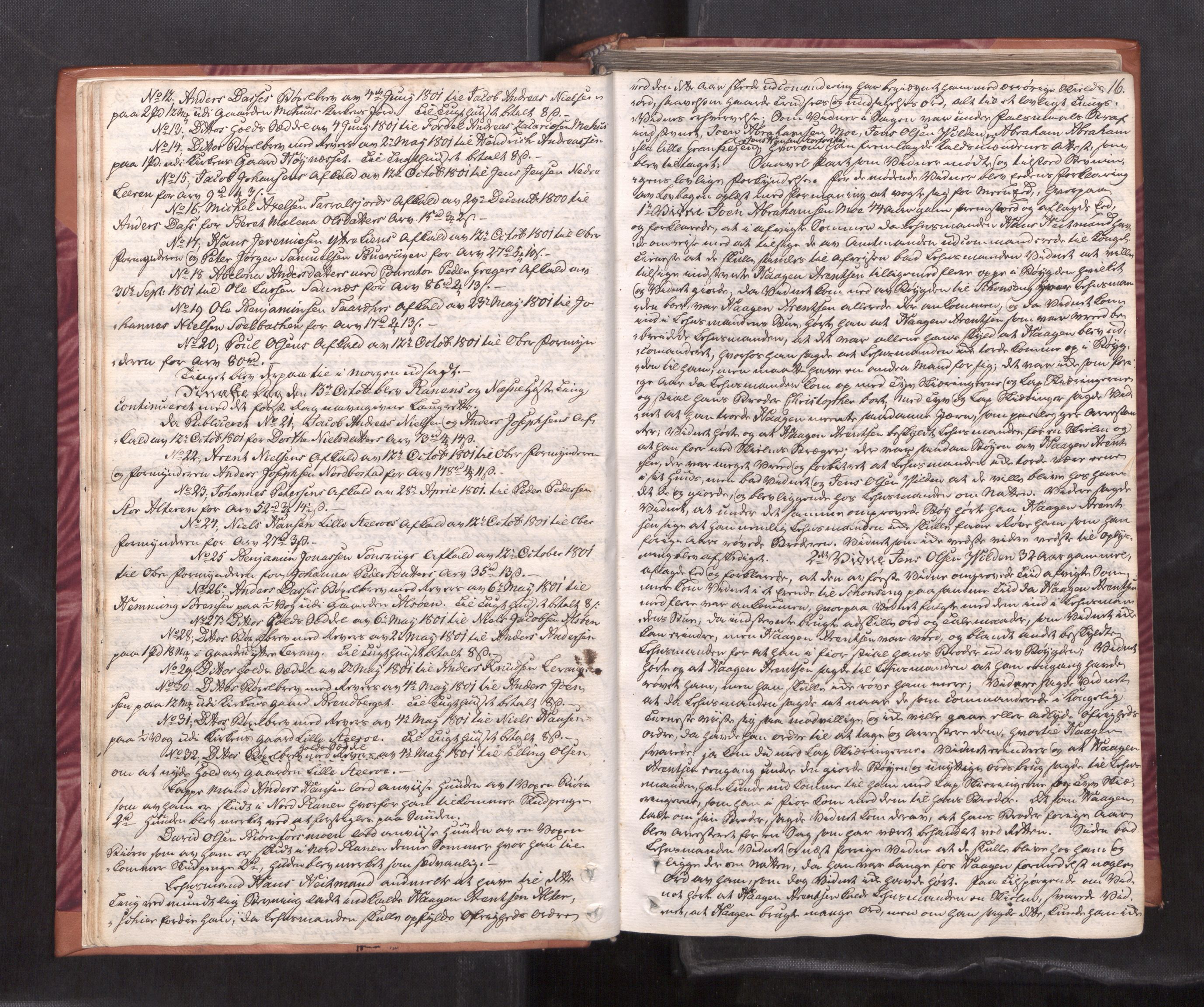 Helgeland sorenskriveri, AV/SAT-A-0004/1/1A/L0036: Tingbok 26A, 1801-1806, p. 15b-16a