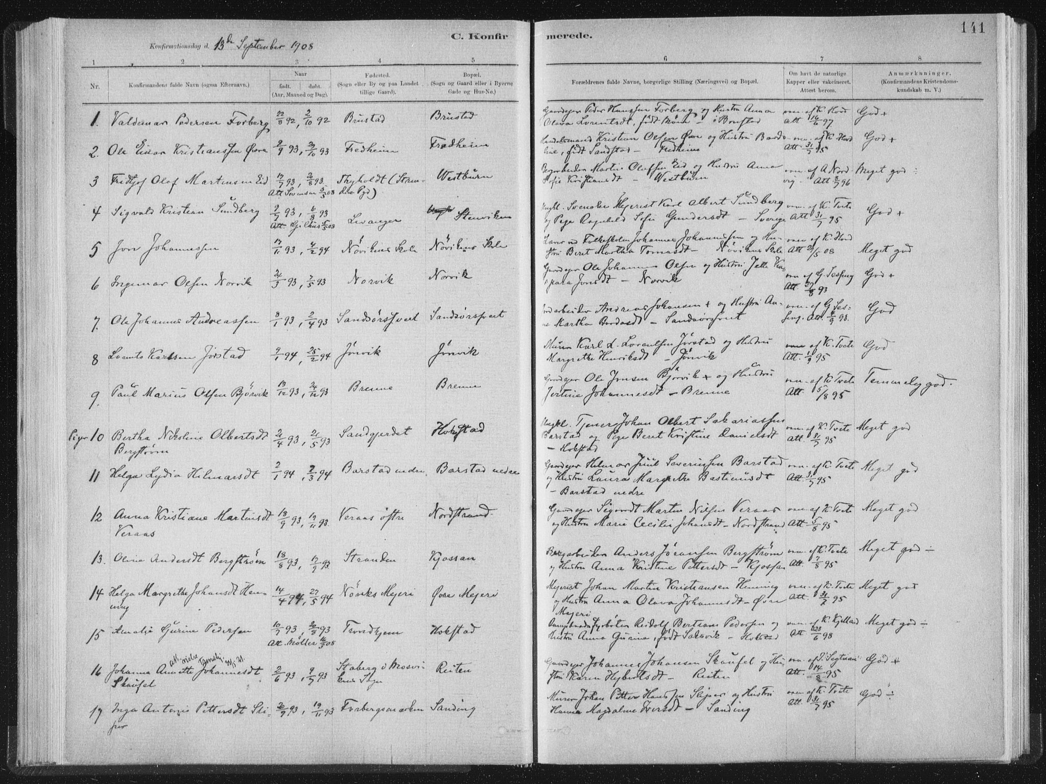 Ministerialprotokoller, klokkerbøker og fødselsregistre - Nord-Trøndelag, SAT/A-1458/722/L0220: Parish register (official) no. 722A07, 1881-1908, p. 141