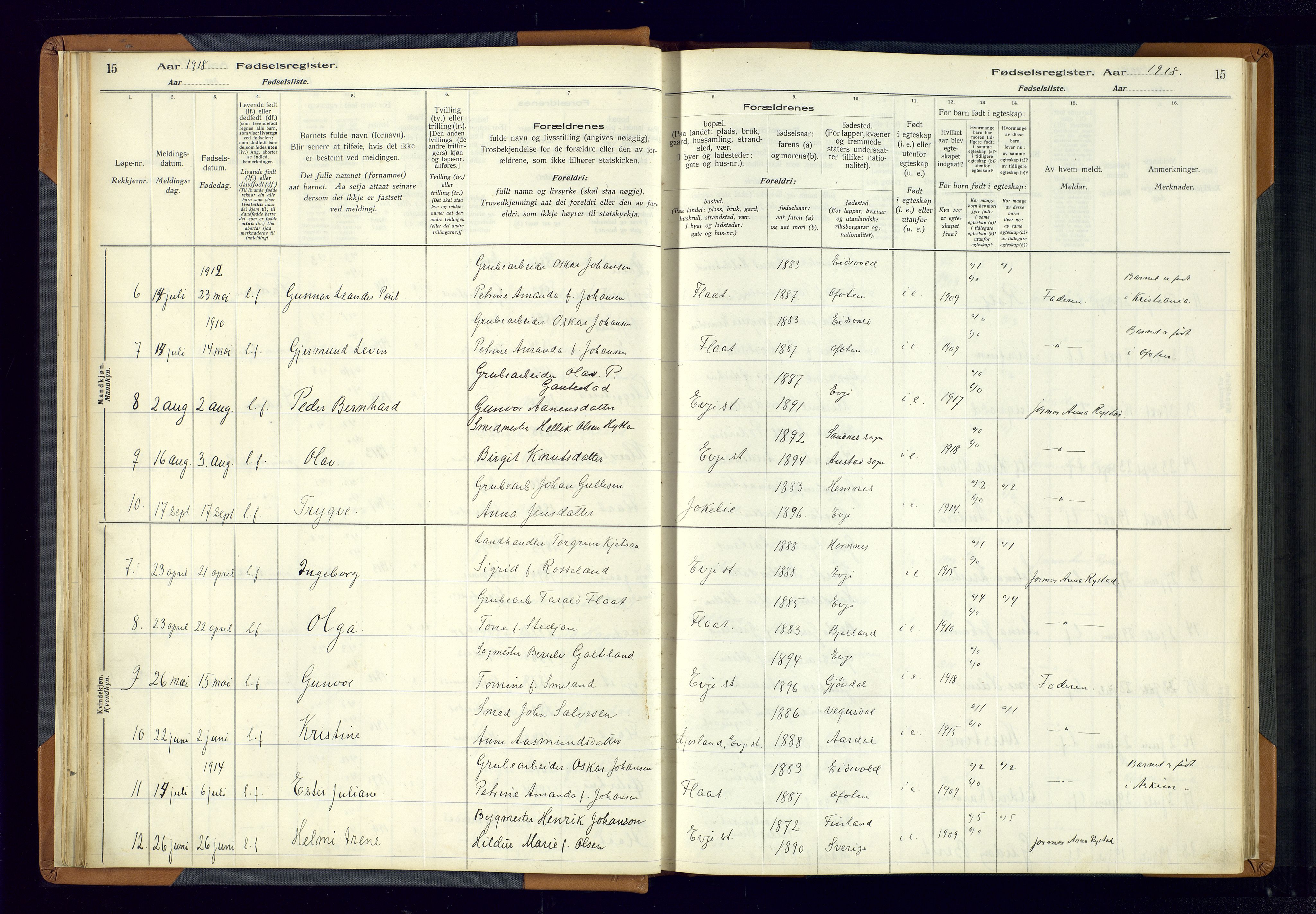 Evje sokneprestkontor, SAK/1111-0008/J/Jc/L0004: Birth register no. 4, 1916-1968, p. 15