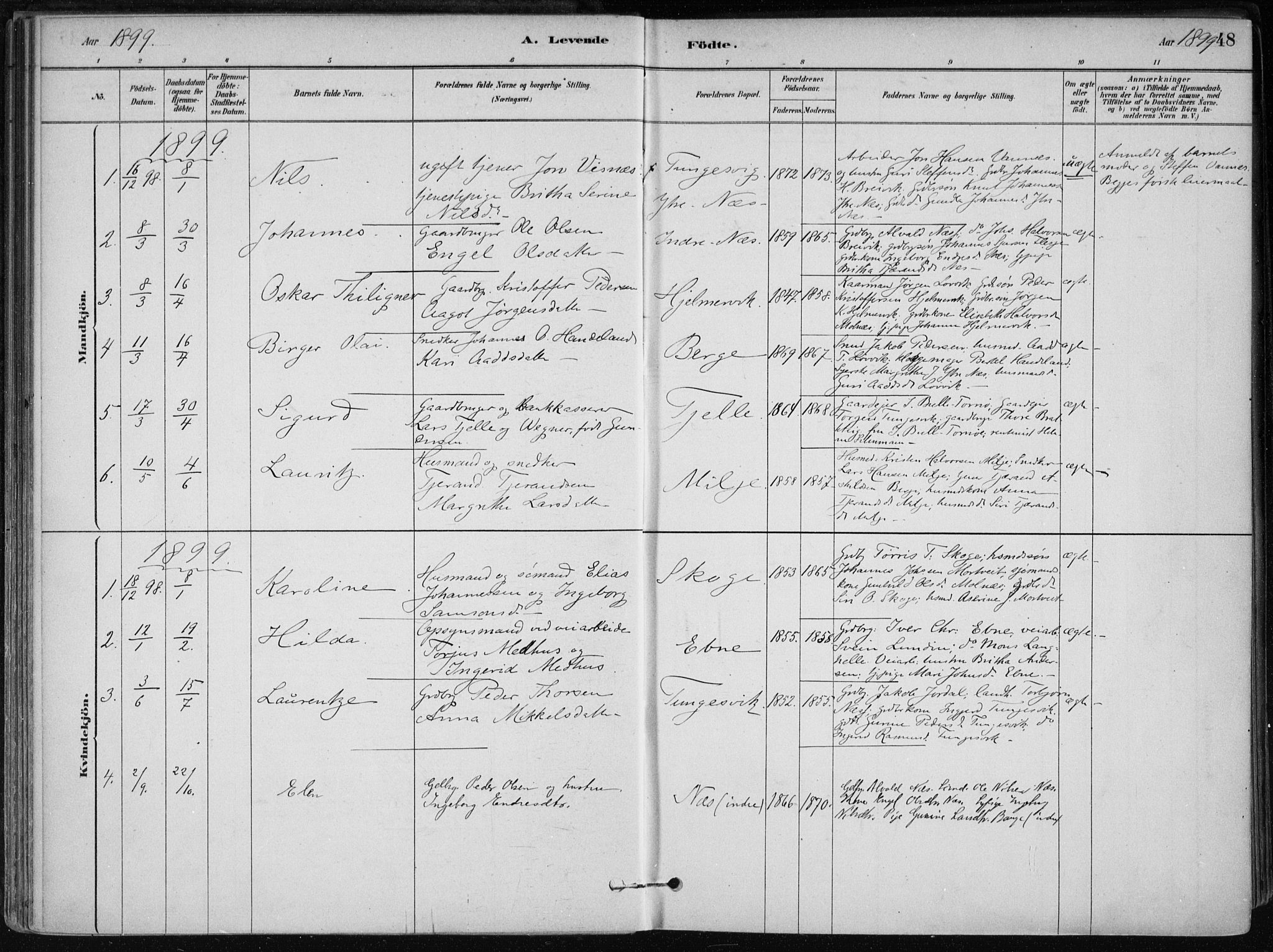 Skånevik sokneprestembete, SAB/A-77801/H/Haa: Parish register (official) no. B 1, 1879-1914, p. 48