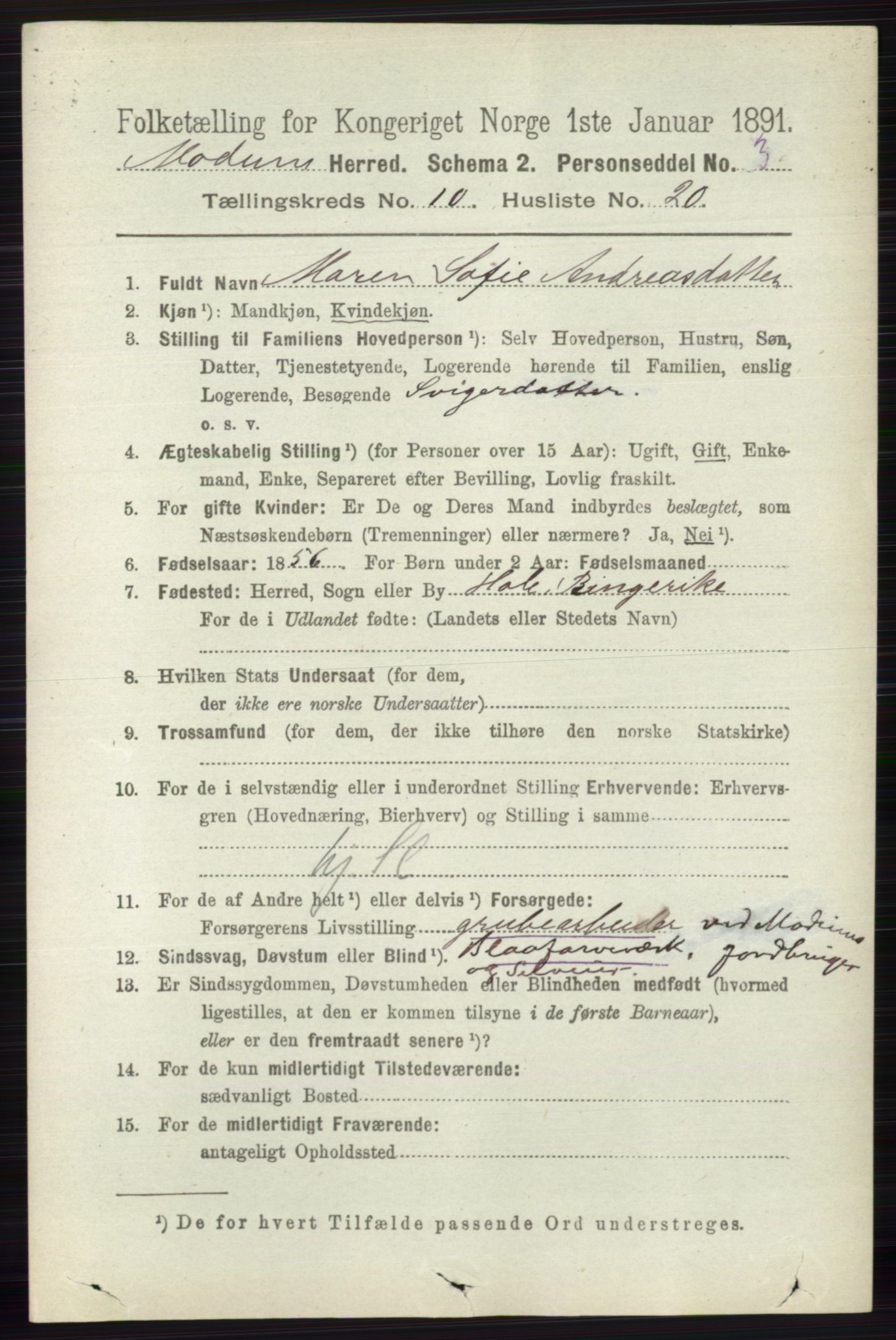 RA, 1891 census for 0623 Modum, 1891, p. 4075