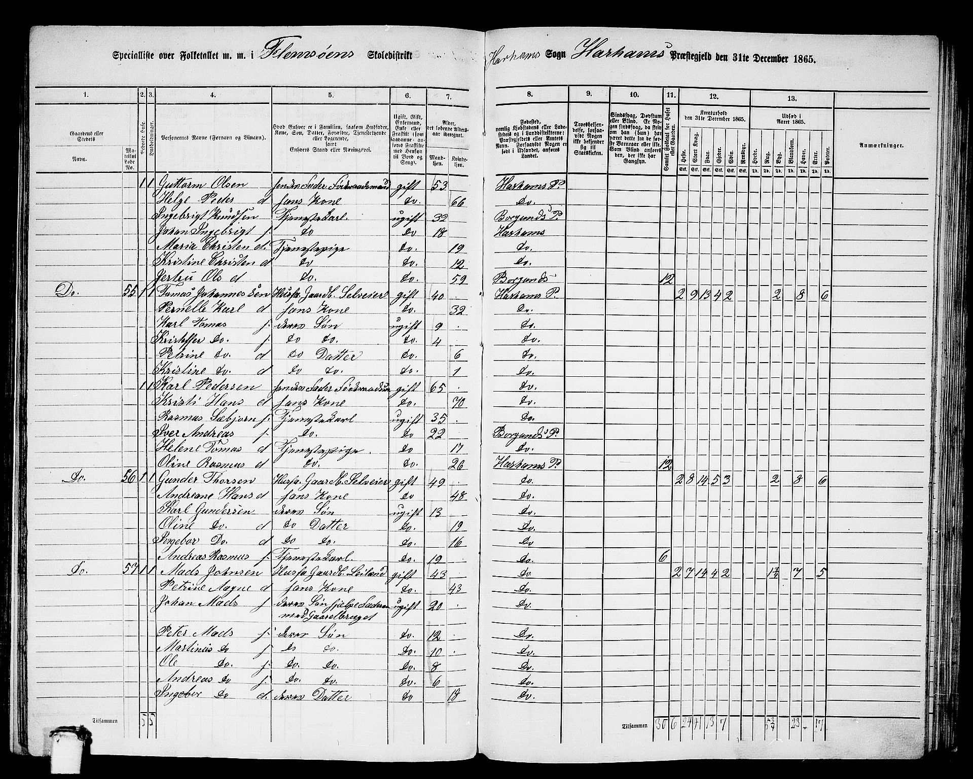 RA, 1865 census for Haram, 1865, p. 29