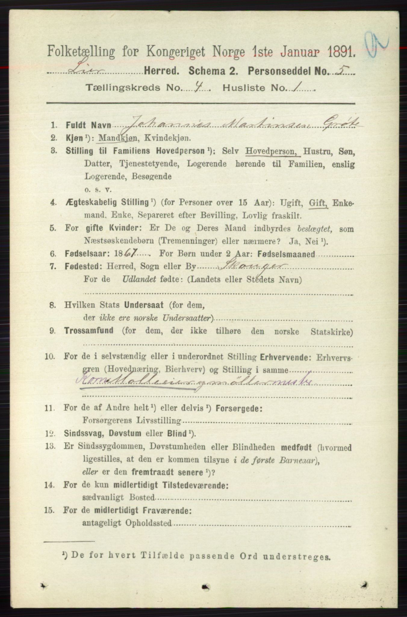 RA, 1891 census for 0626 Lier, 1891, p. 2873