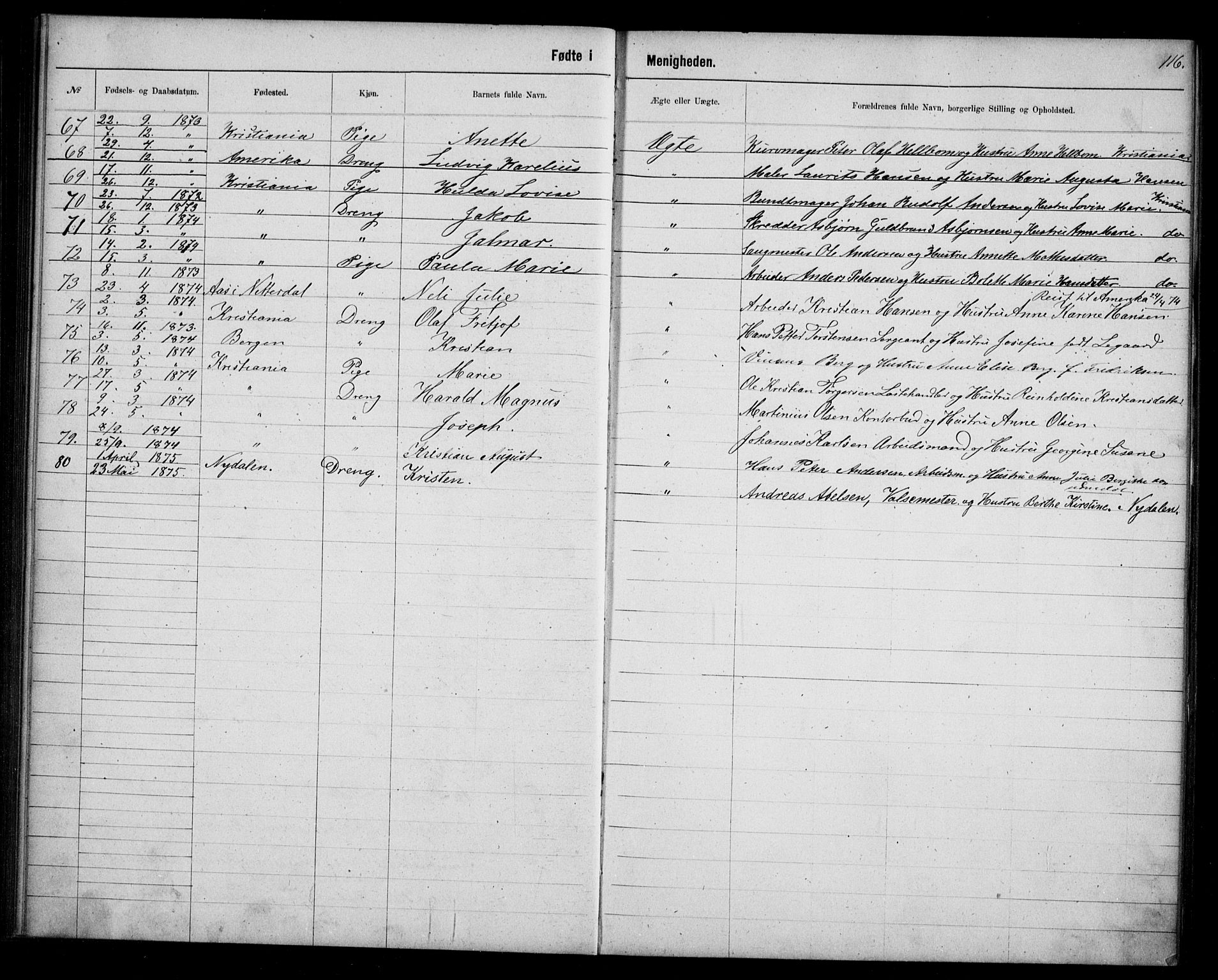 Første Metodistkirke Oslo -  menighetsprotokoller, AV/SAO-PAO-0067/F/L0003: Dissenter register no. 3, 1872-1877, p. 116