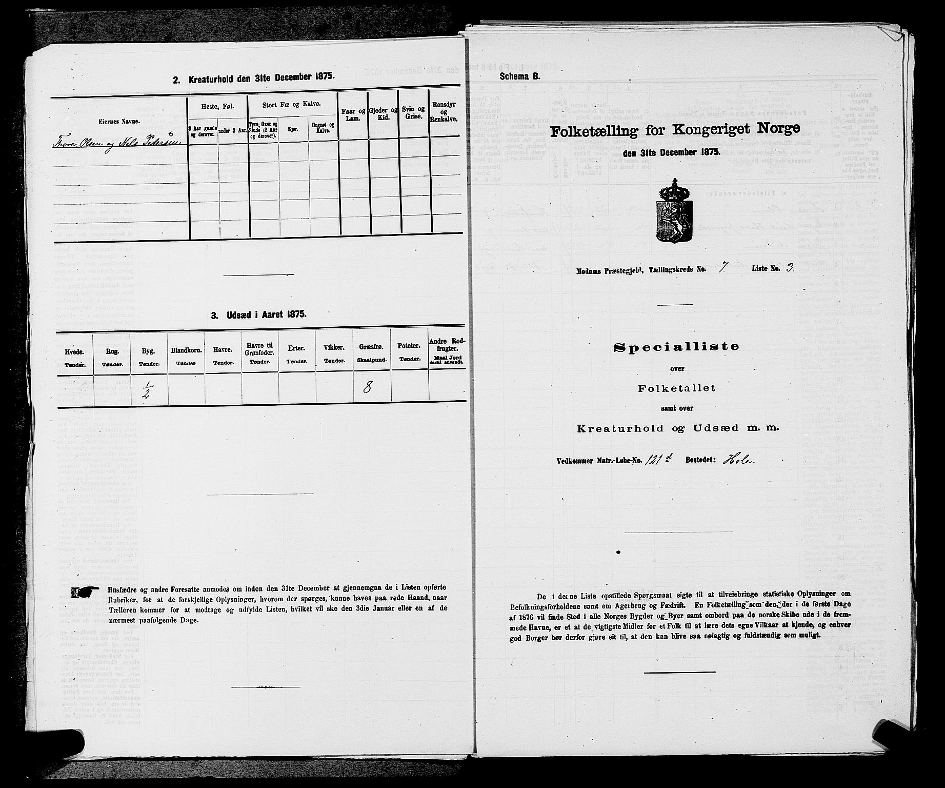 SAKO, 1875 census for 0623P Modum, 1875, p. 735