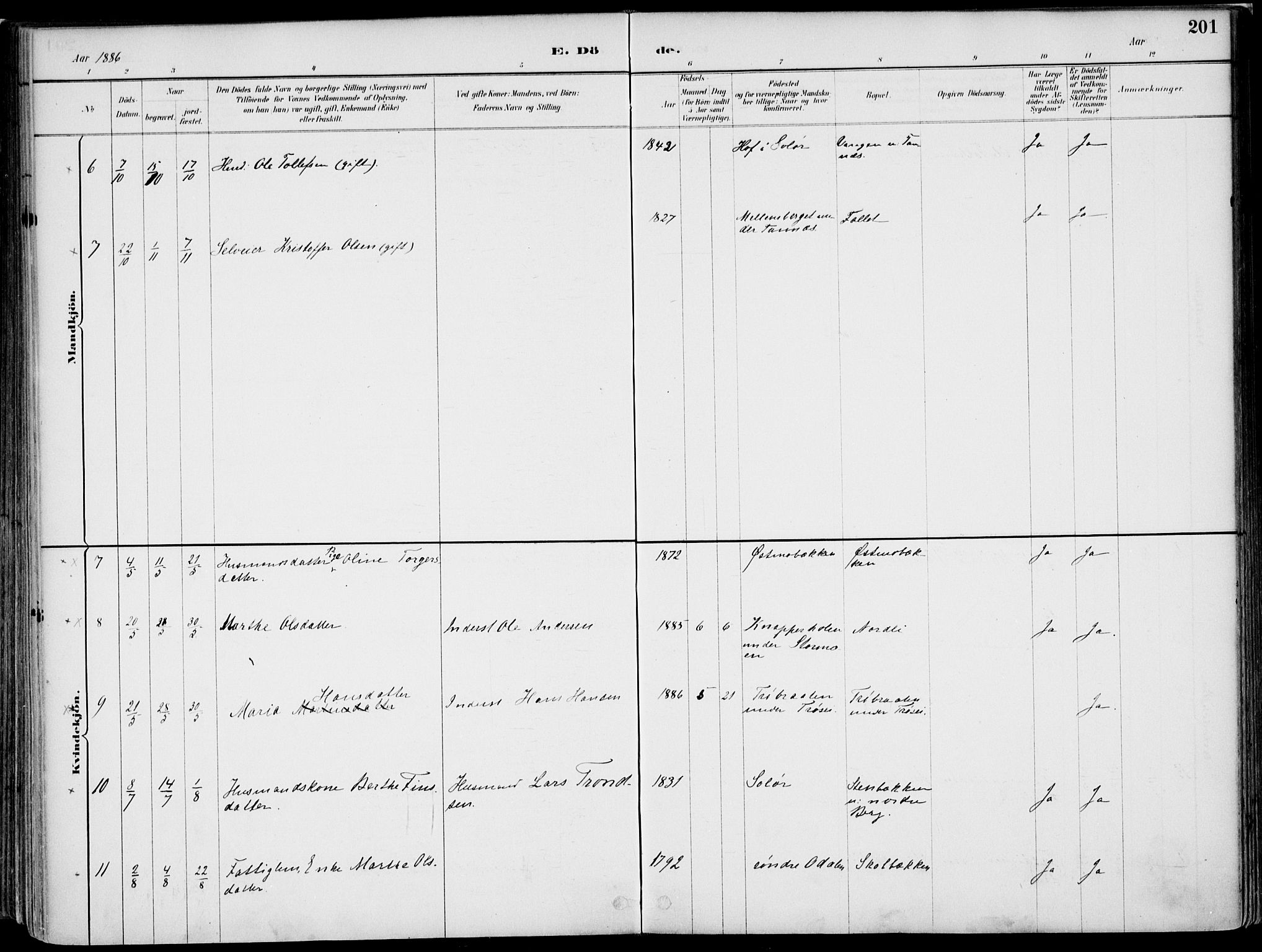 Nord-Odal prestekontor, SAH/PREST-032/H/Ha/Haa/L0008: Parish register (official) no. 8, 1886-1901, p. 201