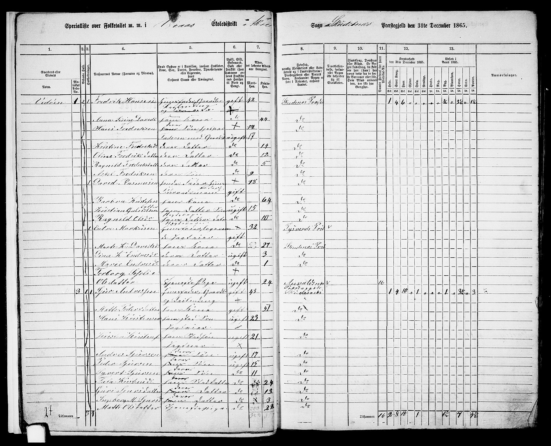 RA, 1865 census for Skudenes, 1865, p. 13