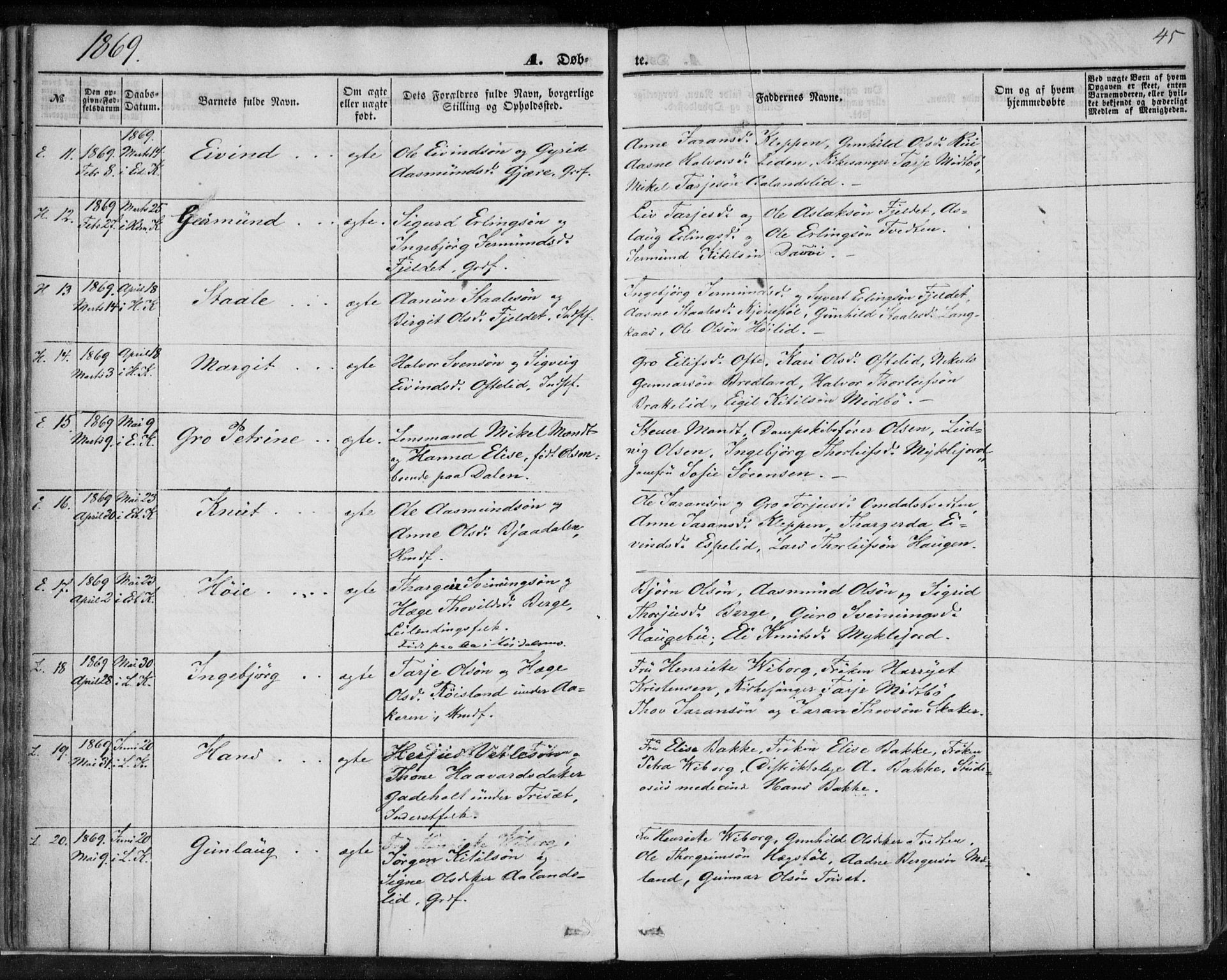 Lårdal kirkebøker, AV/SAKO-A-284/F/Fa/L0006: Parish register (official) no. I 6, 1861-1886, p. 45