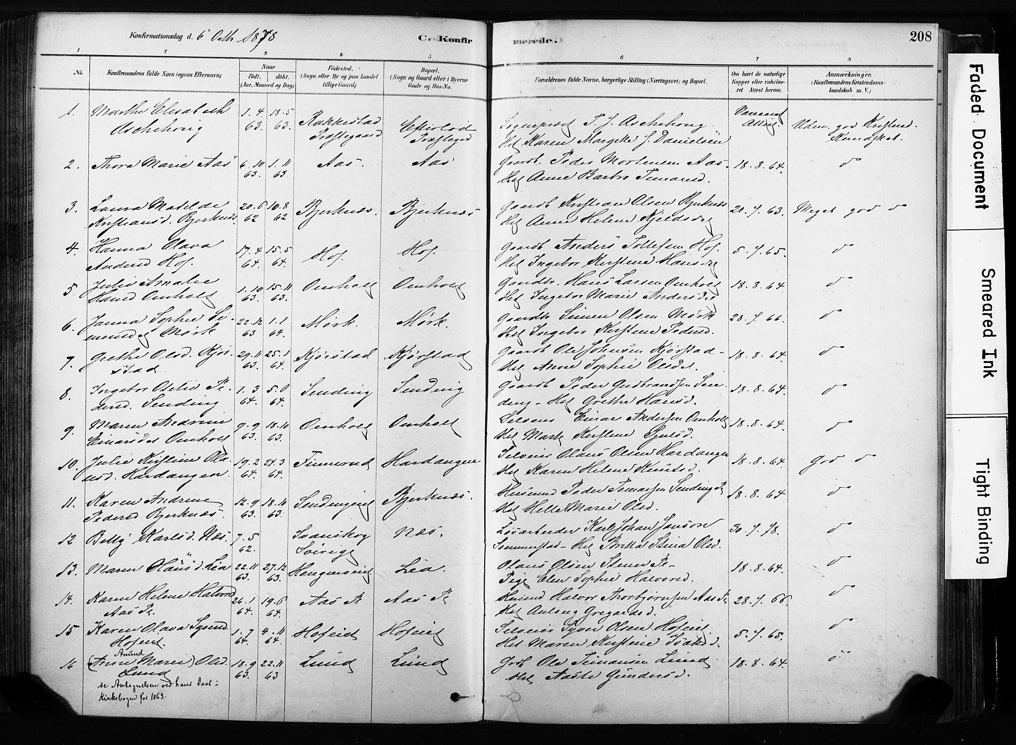 Sandsvær kirkebøker, SAKO/A-244/F/Fb/L0001: Parish register (official) no. II 1, 1878-1906, p. 208