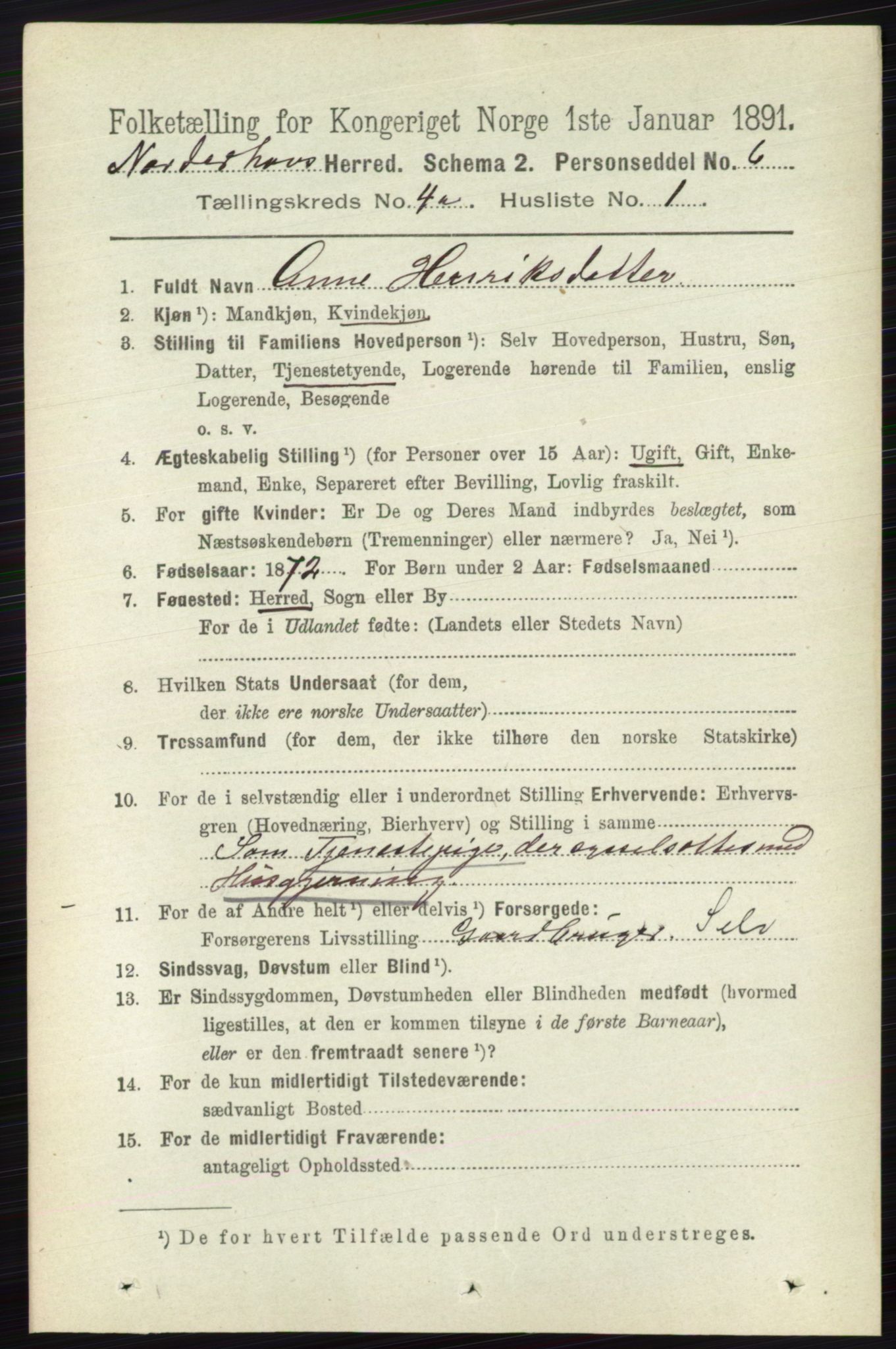 RA, 1891 census for 0613 Norderhov, 1891, p. 1720