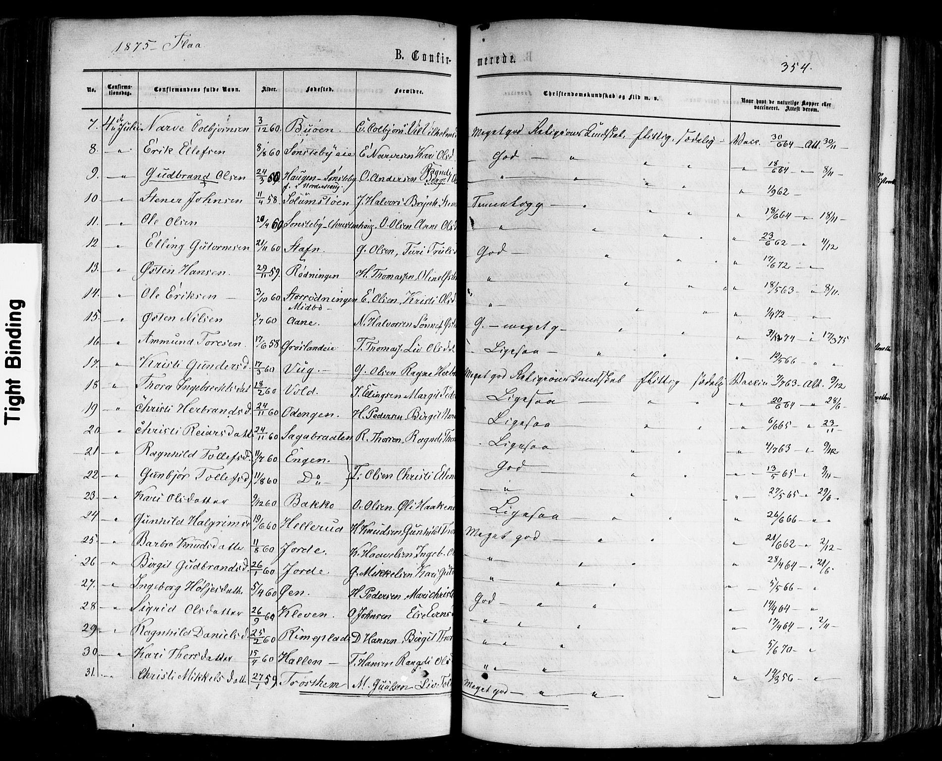 Nes kirkebøker, AV/SAKO-A-236/F/Fa/L0010: Parish register (official) no. 10, 1864-1880, p. 354