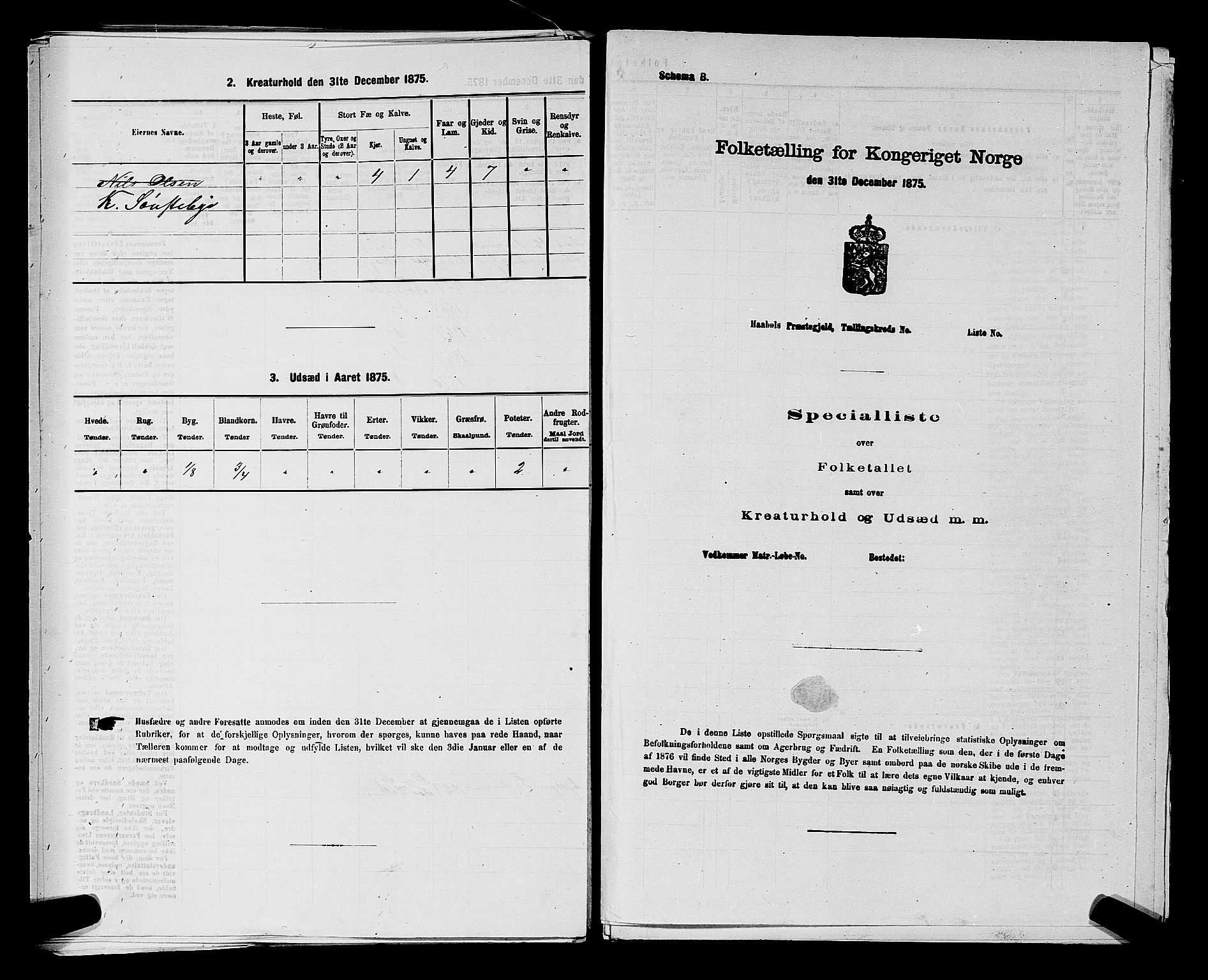 SAKO, 1875 census for 0613L Norderhov/Norderhov, Haug og Lunder, 1875, p. 2632