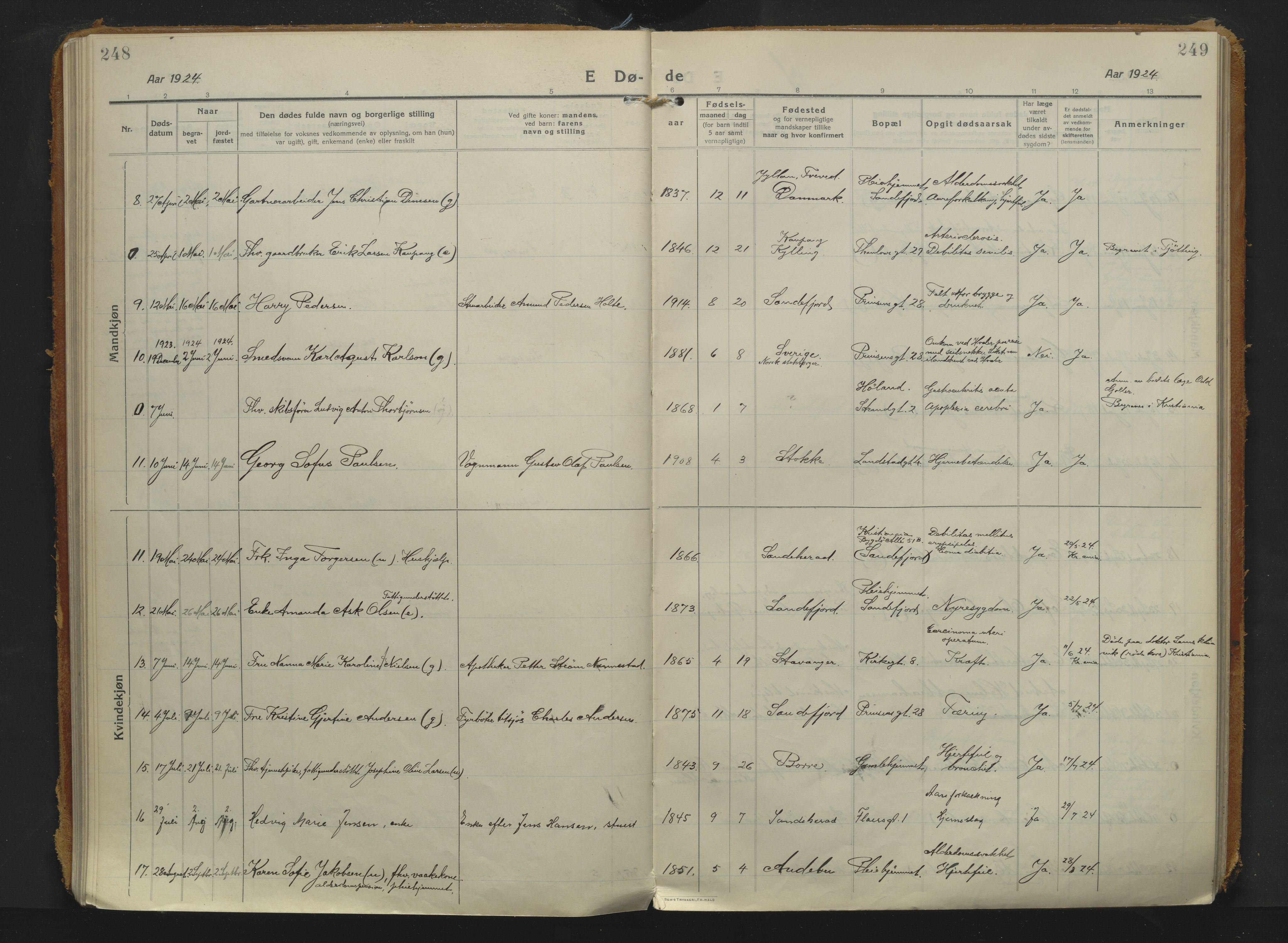 Sandefjord kirkebøker, AV/SAKO-A-315/F/Fa/L0008: Parish register (official) no. 8, 1916-1926, p. 248-249