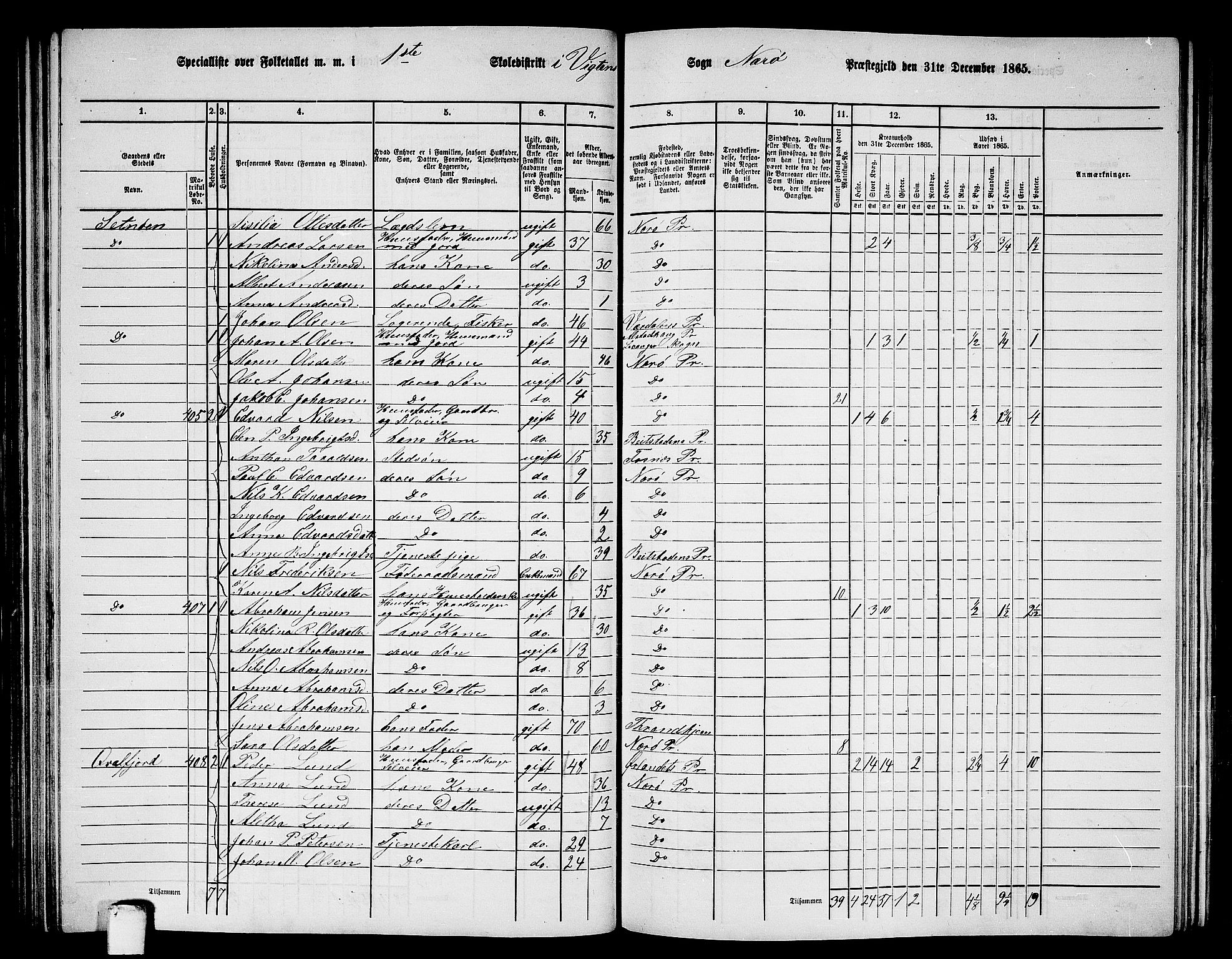 RA, 1865 census for Nærøy, 1865, p. 95