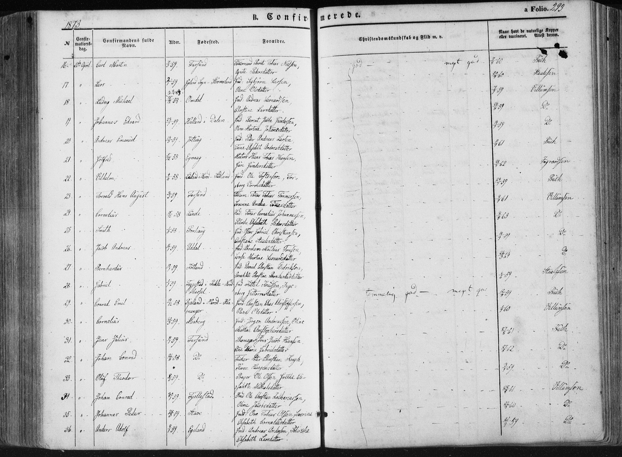 Lista sokneprestkontor, AV/SAK-1111-0027/F/Fa/L0011: Parish register (official) no. A 11, 1861-1878, p. 293