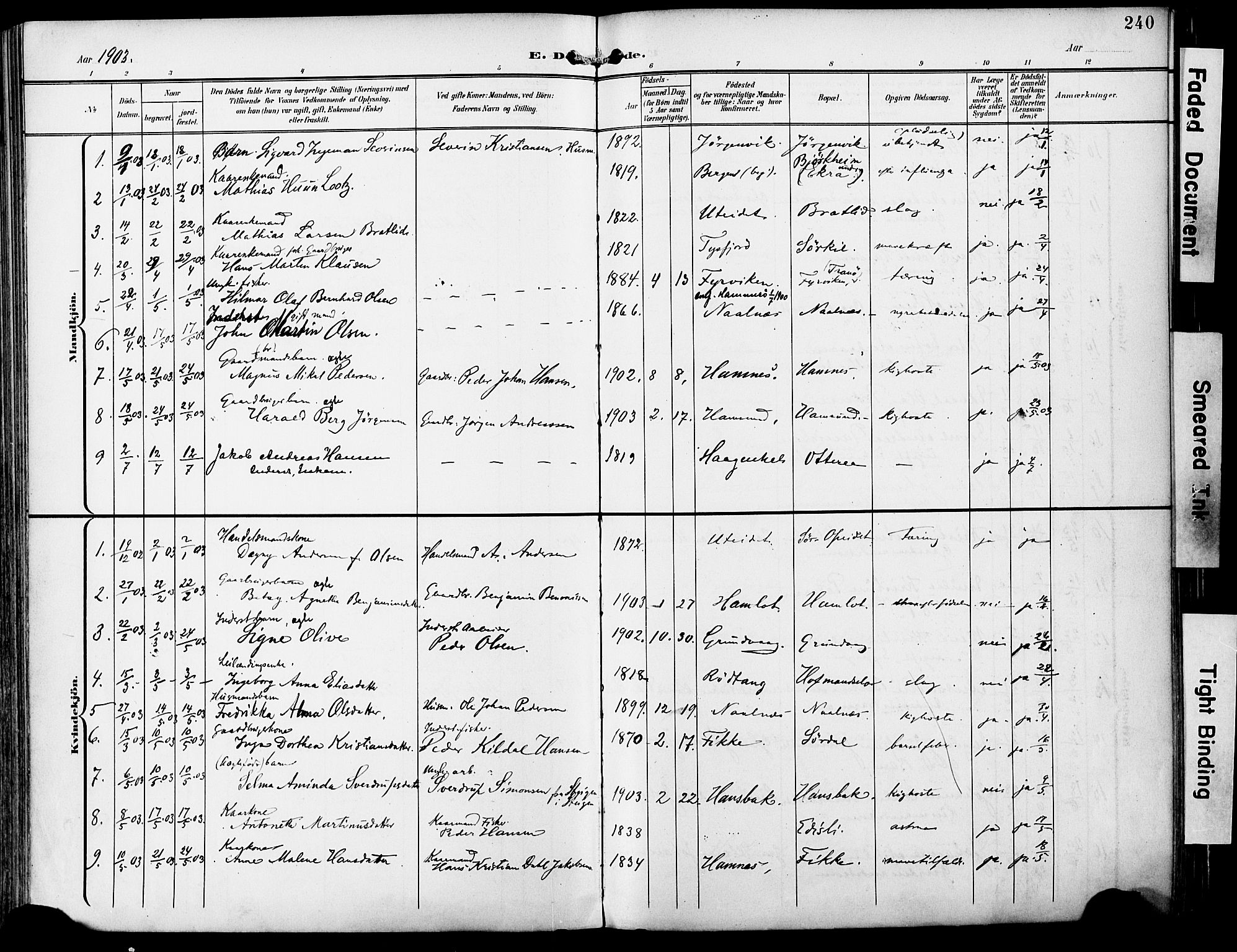 Ministerialprotokoller, klokkerbøker og fødselsregistre - Nordland, AV/SAT-A-1459/859/L0848: Parish register (official) no. 859A08, 1900-1912, p. 240