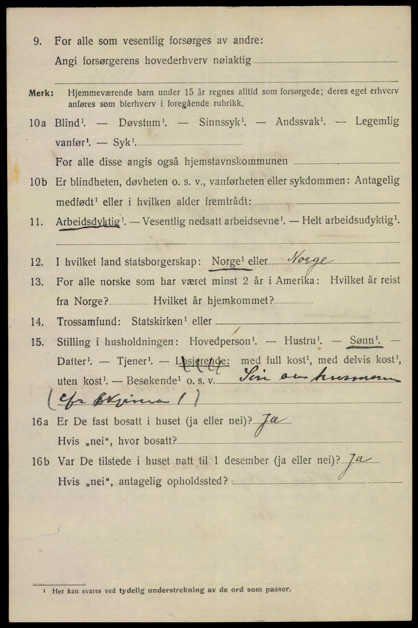 SAKO, 1920 census for Porsgrunn, 1920, p. 9410