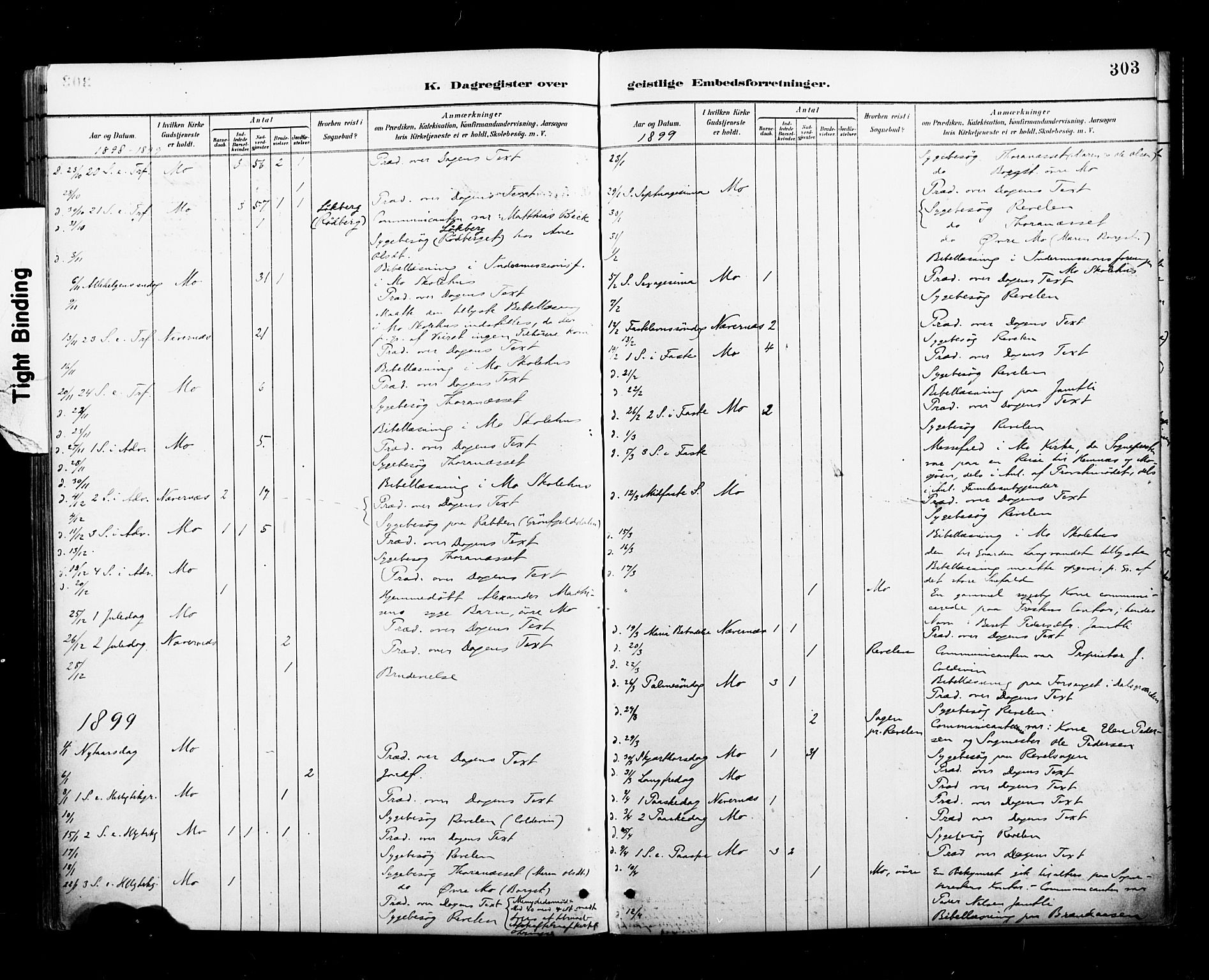 Ministerialprotokoller, klokkerbøker og fødselsregistre - Nordland, AV/SAT-A-1459/827/L0401: Parish register (official) no. 827A13, 1887-1905, p. 303